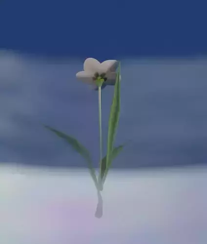 White Flower - Verion 3 - Object 13 