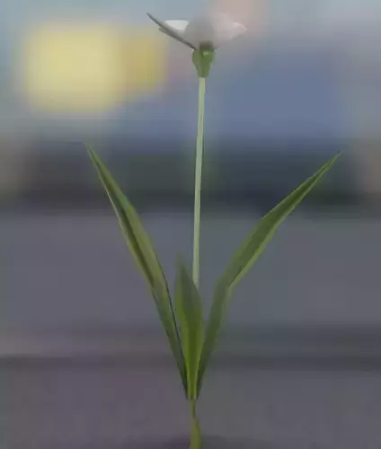 White Flower - Verion 4 - Object 14