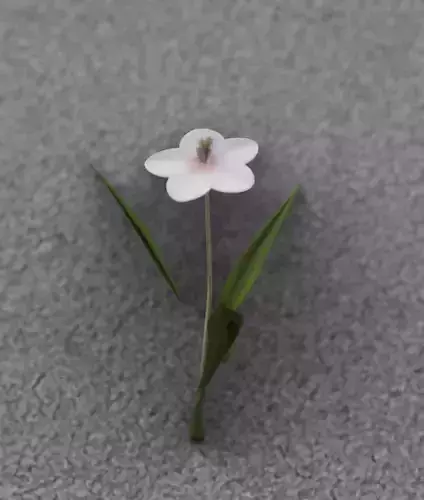 White Flower - Verion 5 - Object 15