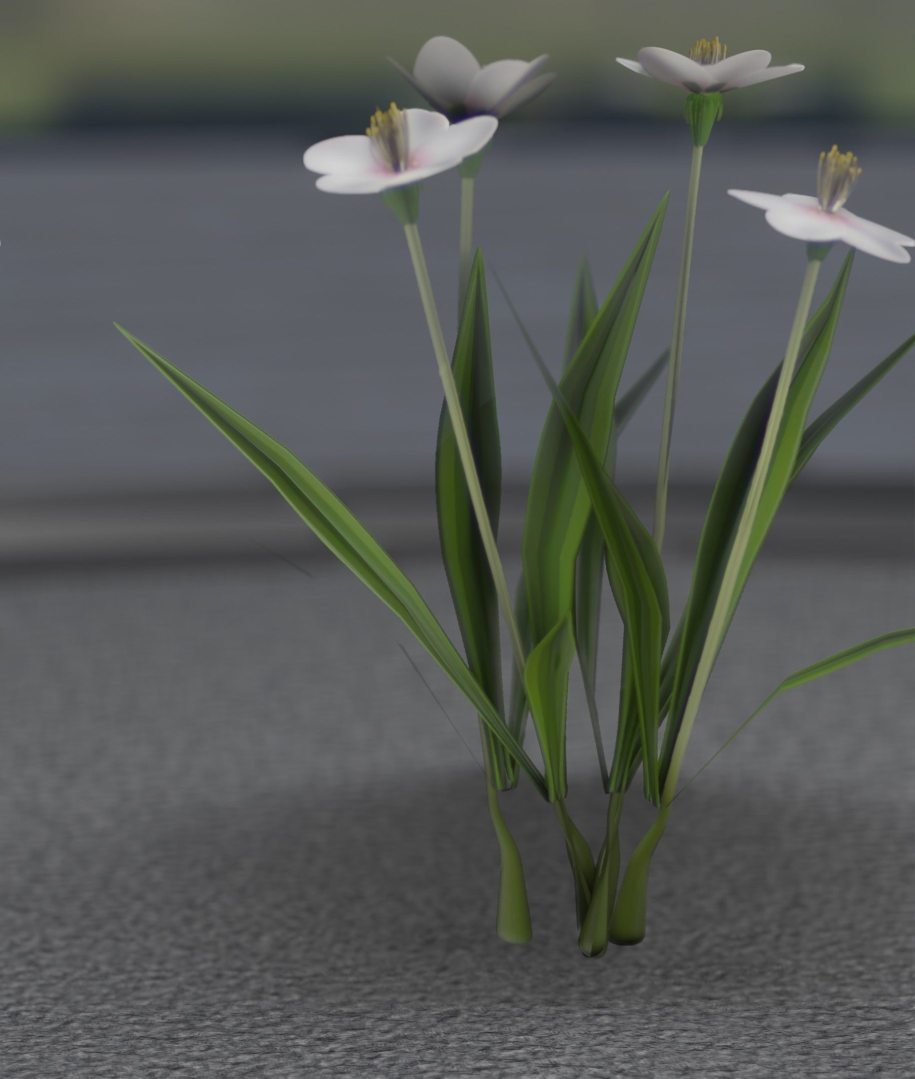 White Flowers - Verion 6 - Object 16 Low-poly 3D model_47