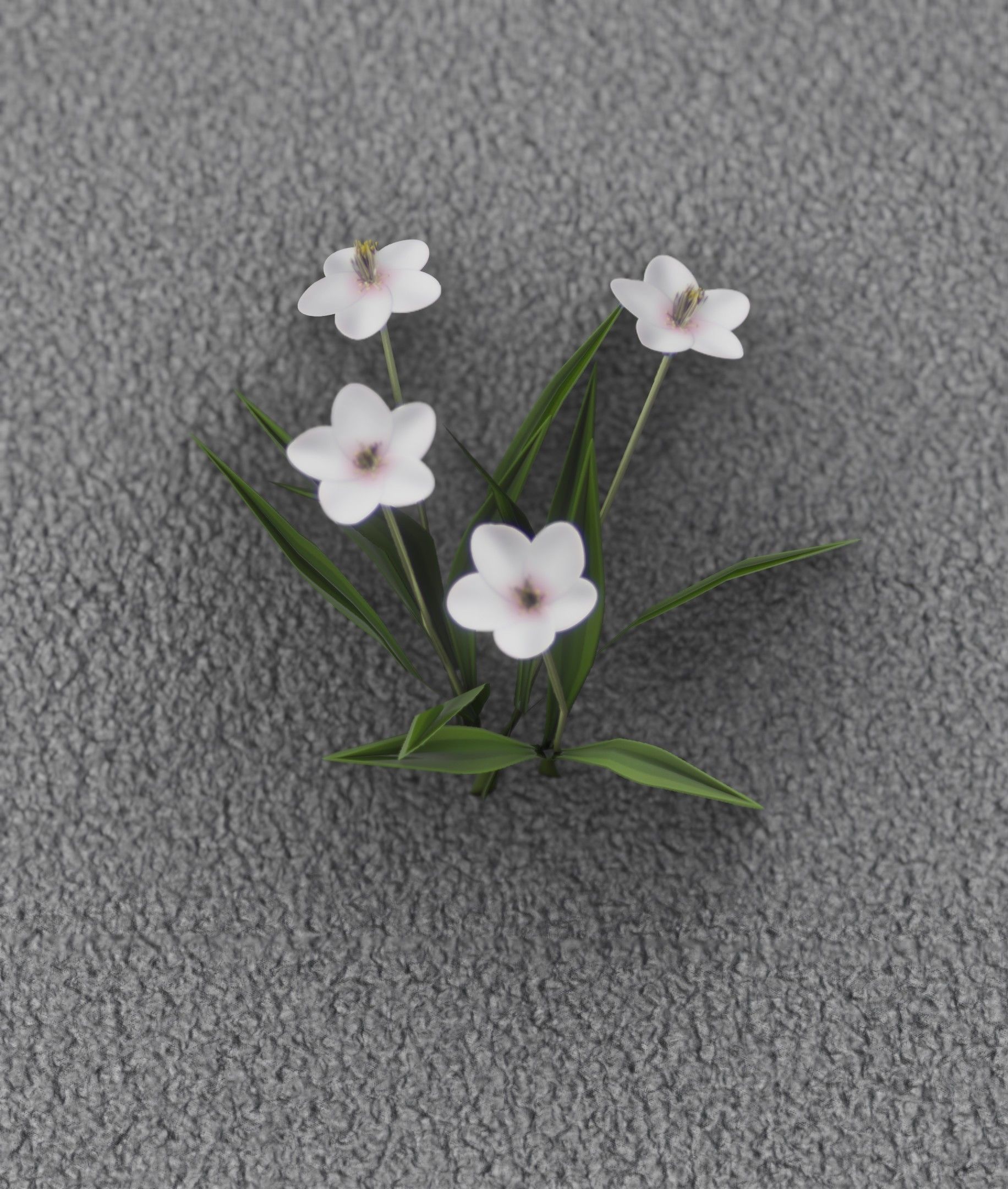 White Flowers - Verion 6 - Object 16 Low-poly 3D model_12