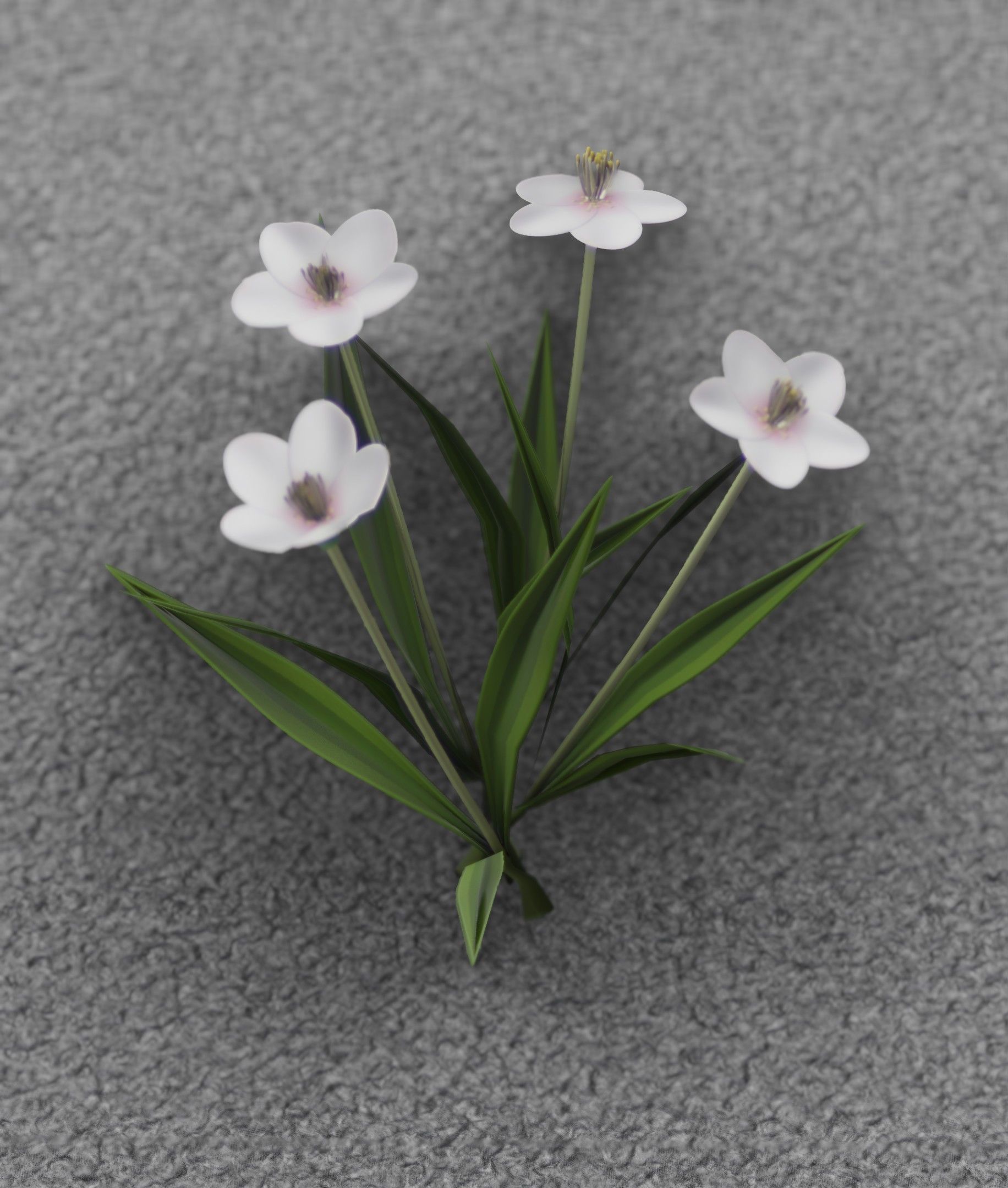 White Flowers - Verion 6 - Object 16 Low-poly 3D model_14