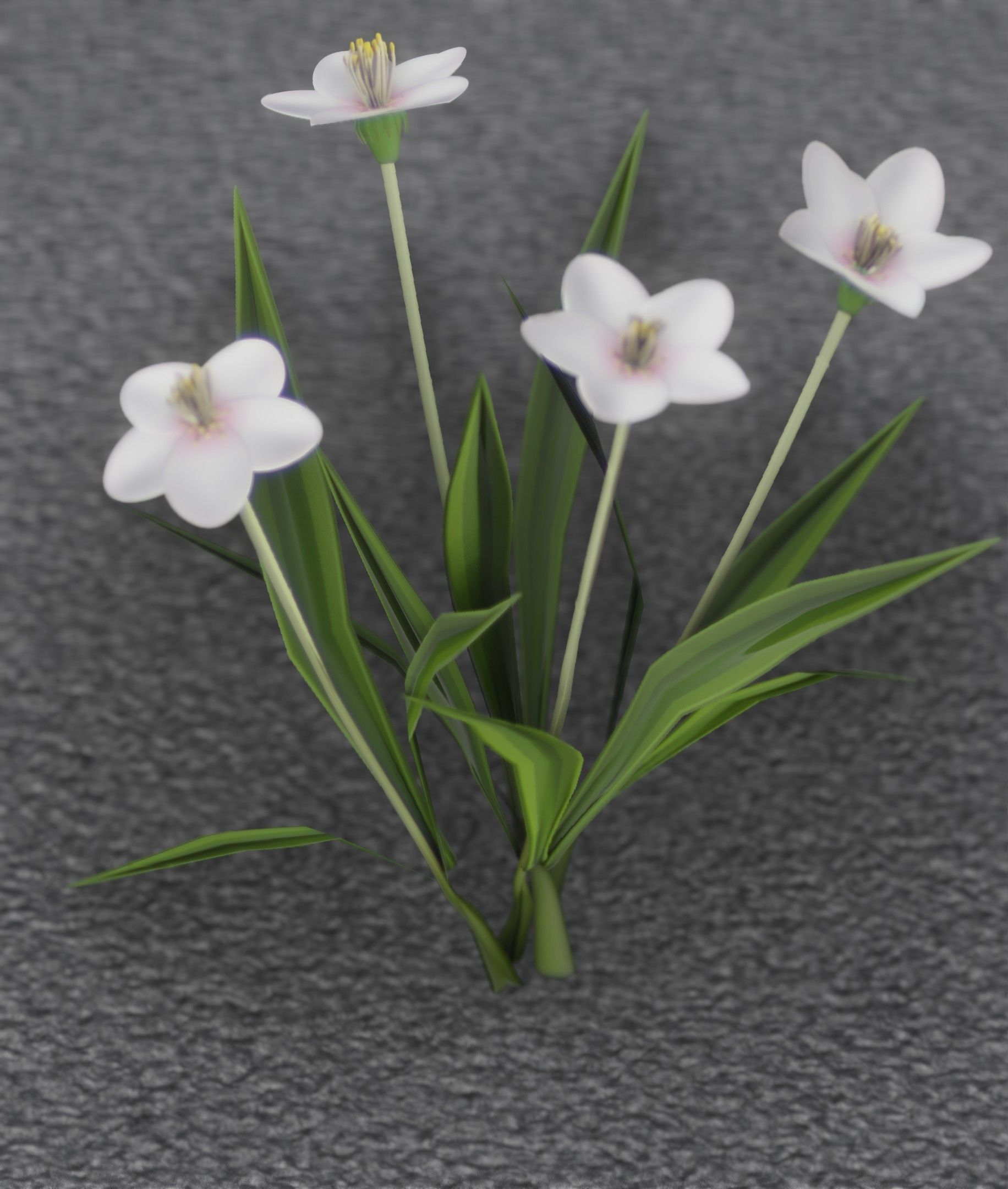 White Flowers - Verion 6 - Object 16 Low-poly 3D model_10