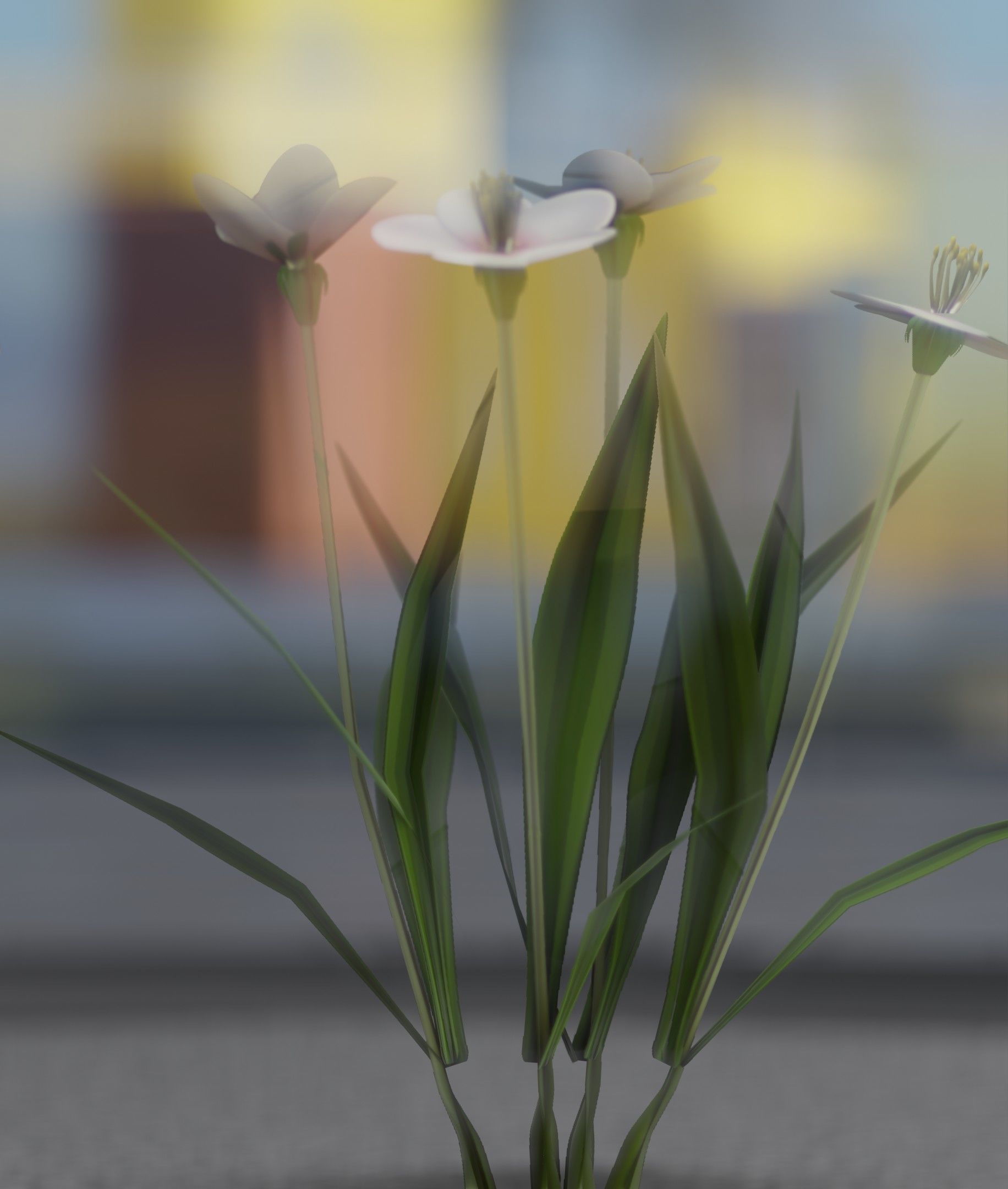 White Flowers - Verion 6 - Object 16 Low-poly 3D model_18