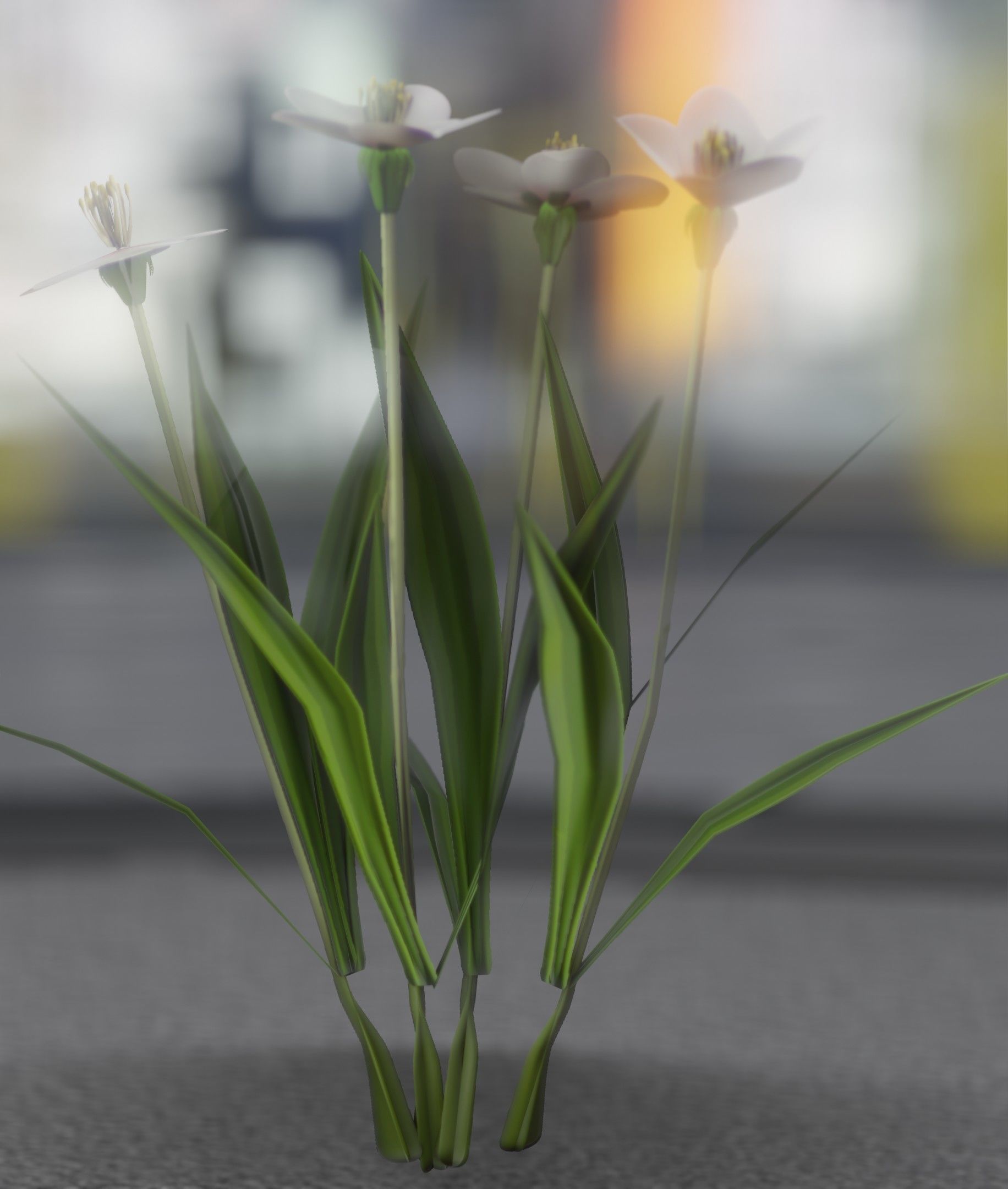 White Flowers - Verion 6 - Object 16 Low-poly 3D model_26