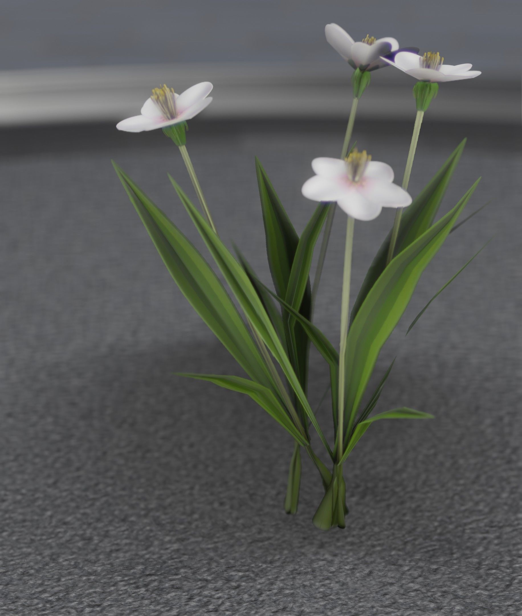 White Flowers - Verion 6 - Object 16 Low-poly 3D model_49