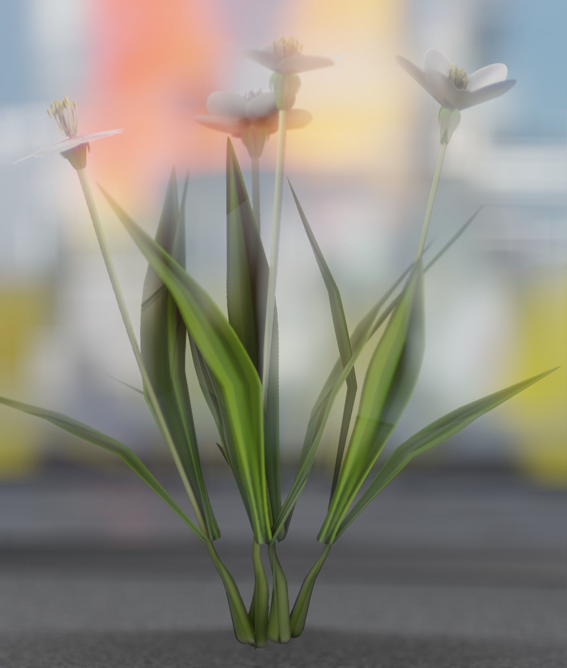 White Flowers - Verion 6 - Object 16 Low-poly 3D model_25