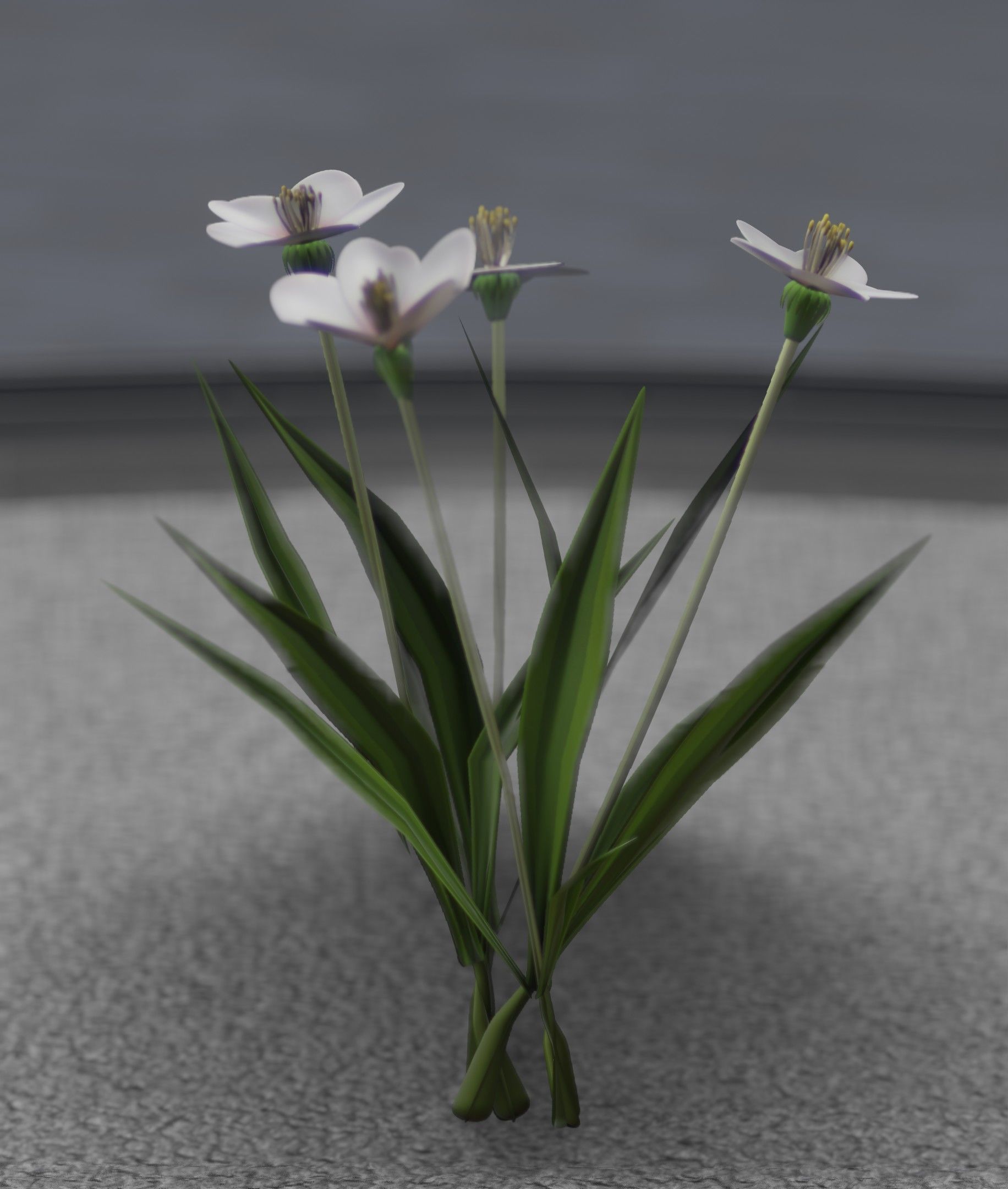 White Flowers - Verion 6 - Object 16 Low-poly 3D model_41