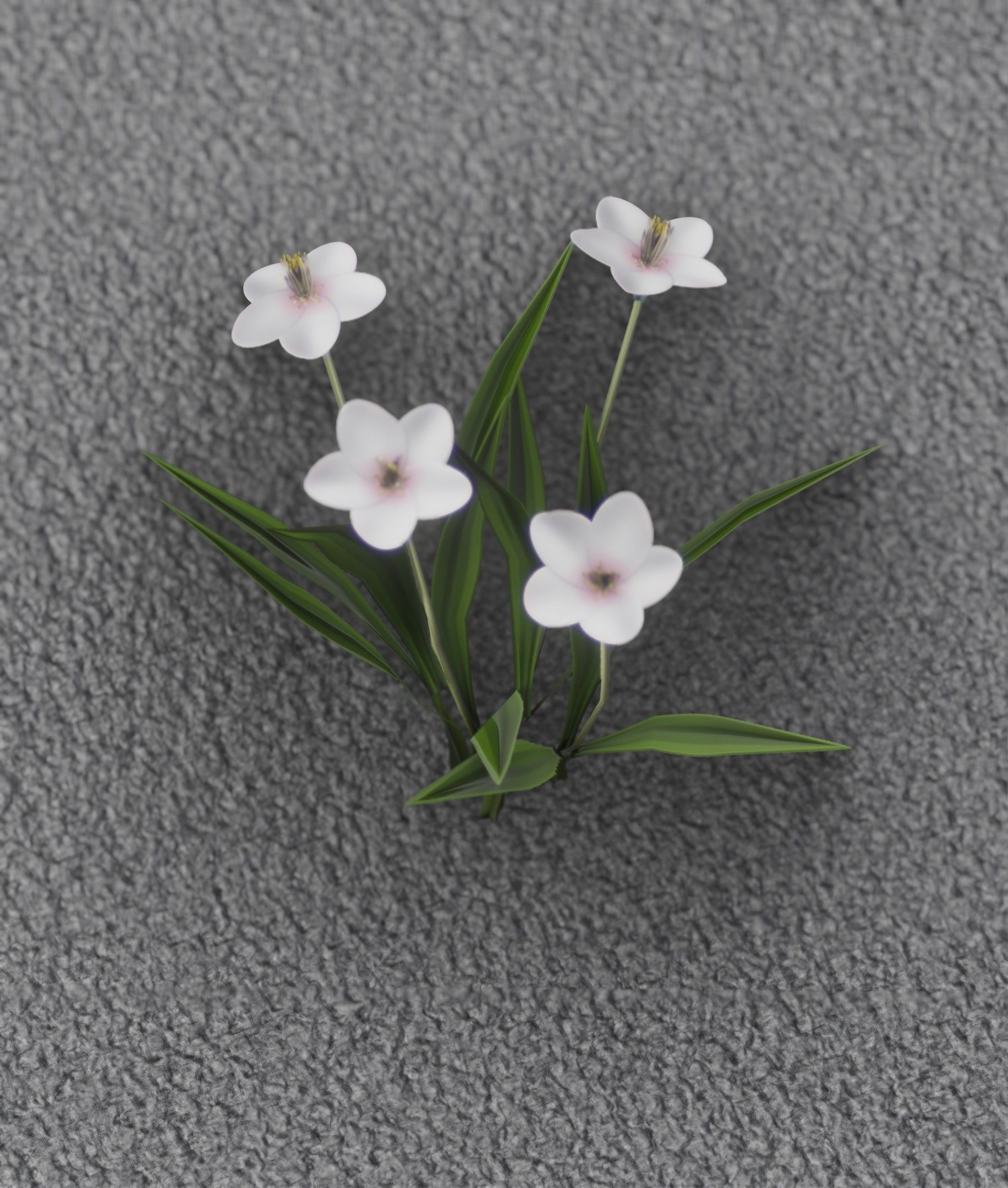 White Flowers - Verion 6 - Object 16 Low-poly 3D model_11