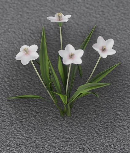 White Flowers - Verion 6 - Object 16 Low-poly 3D model
