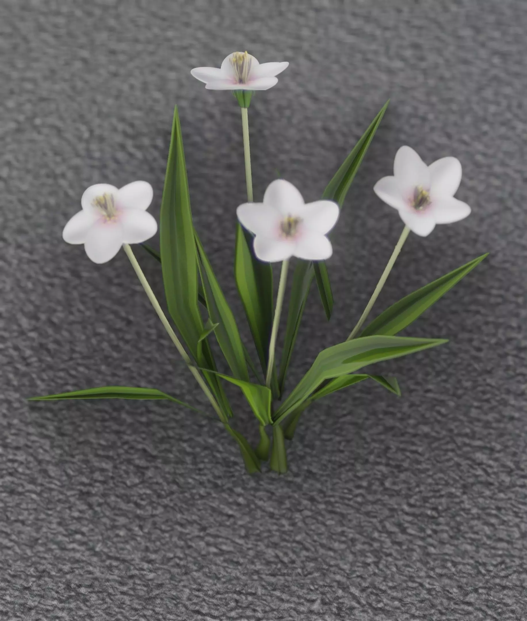 White Flowers - Verion 6 - Object 16 Low-poly 3D model_0