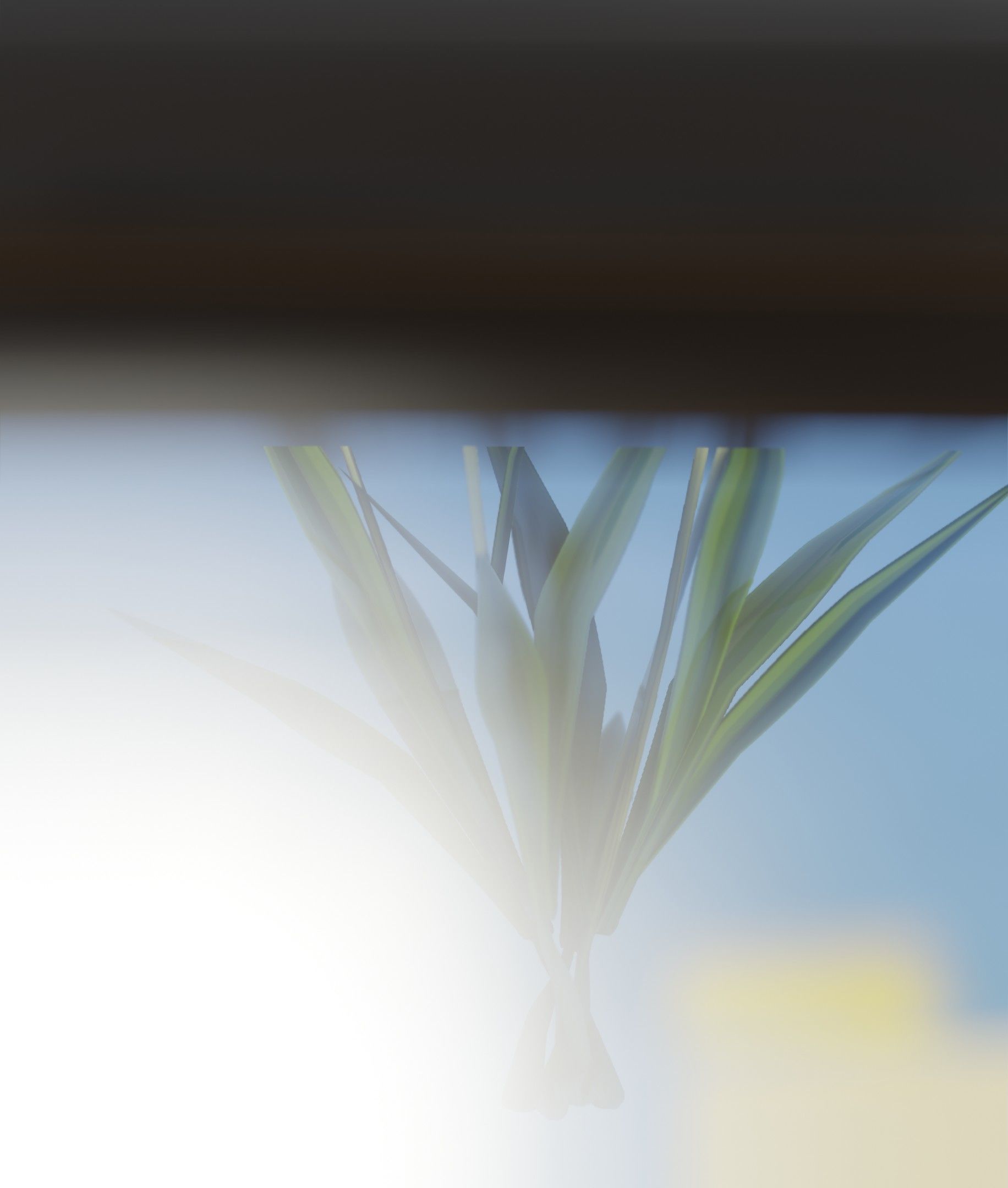 White Flowers - Verion 6 - Object 16 Low-poly 3D model_22