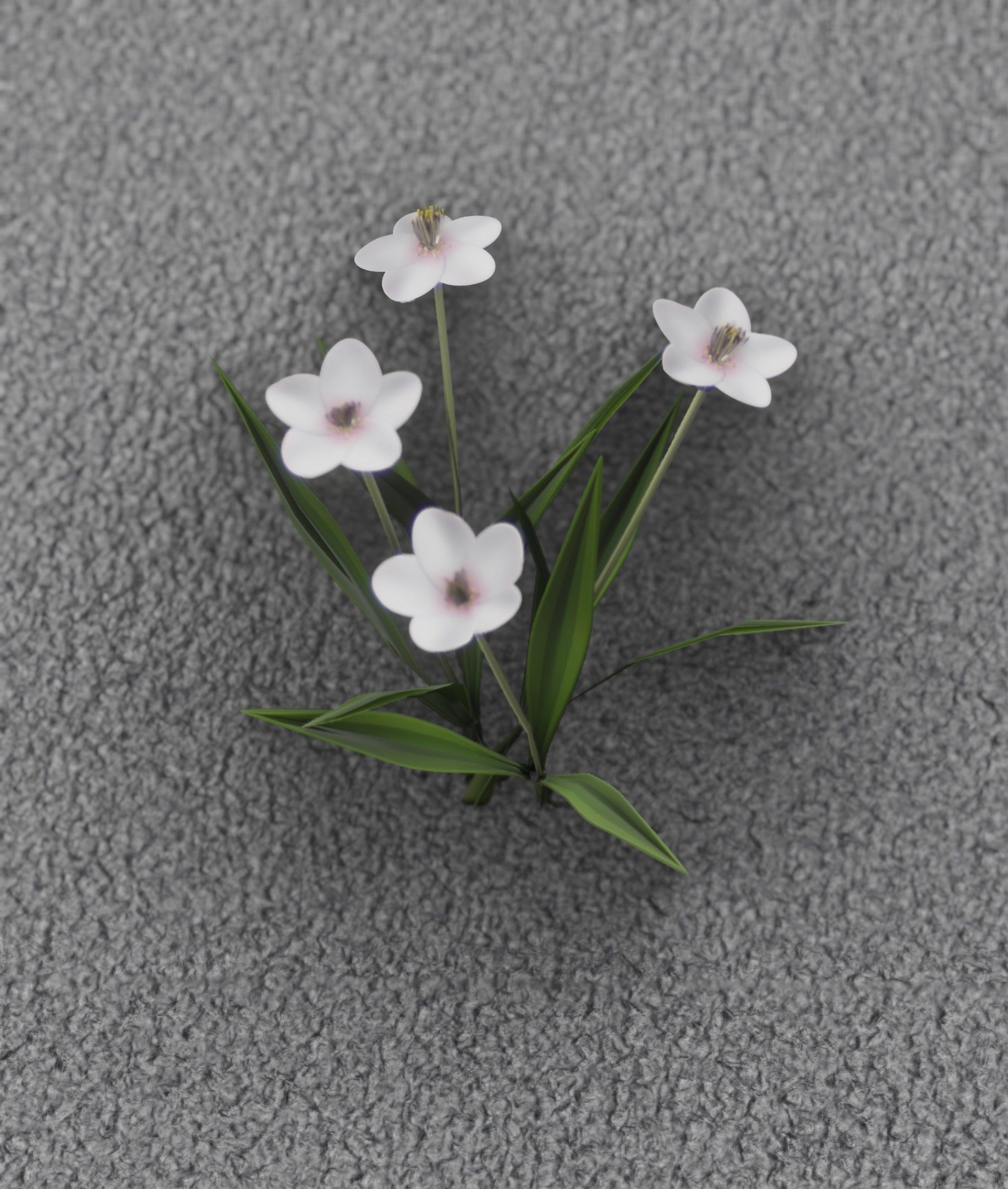 White Flowers - Verion 6 - Object 16 Low-poly 3D model_2