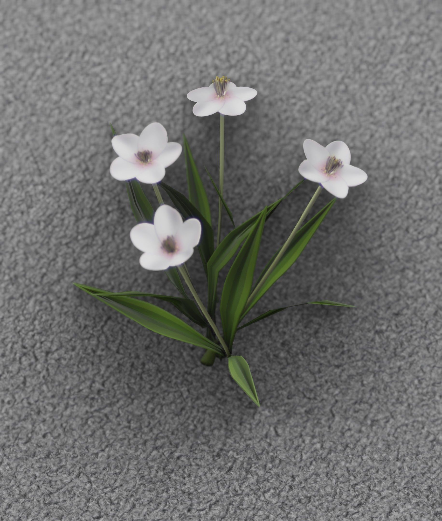 White Flowers - Verion 6 - Object 16 Low-poly 3D model_13