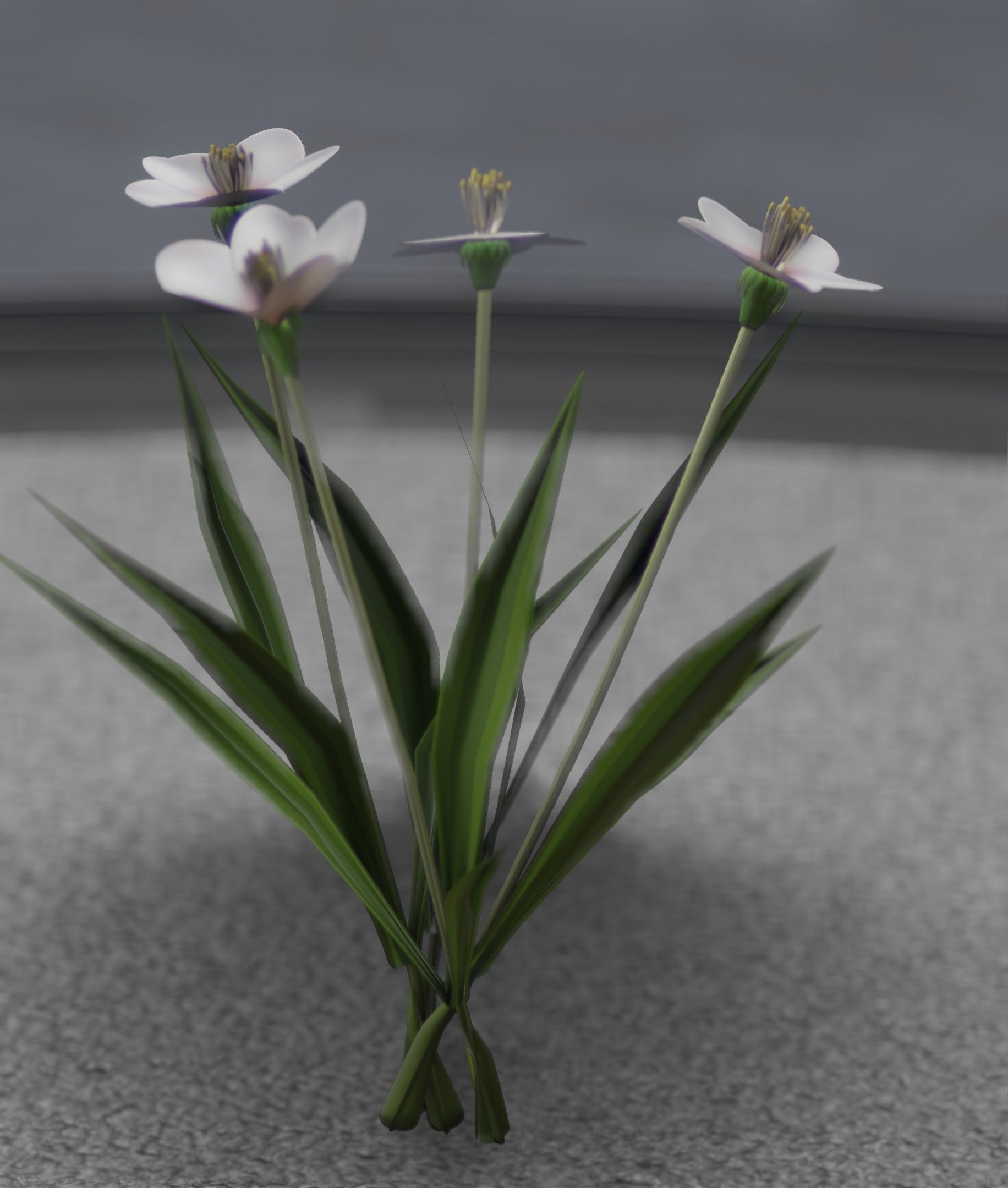 White Flowers - Verion 6 - Object 16 Low-poly 3D model_29