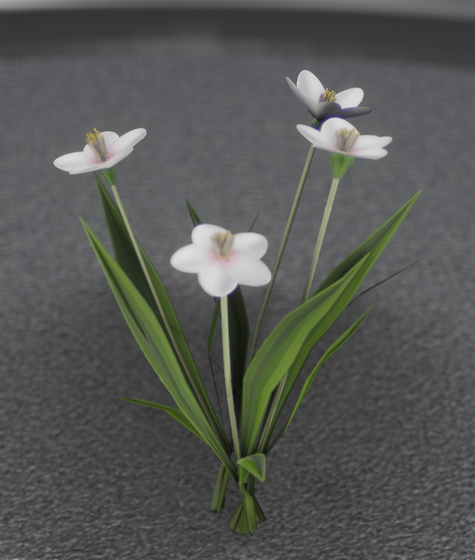 White Flowers - Verion 6 - Object 16 Low-poly 3D model_35
