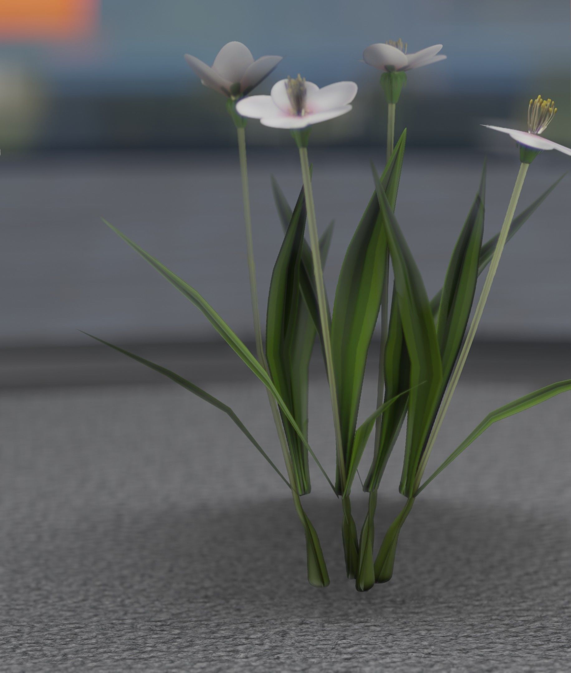 White Flowers - Verion 6 - Object 16 Low-poly 3D model_46