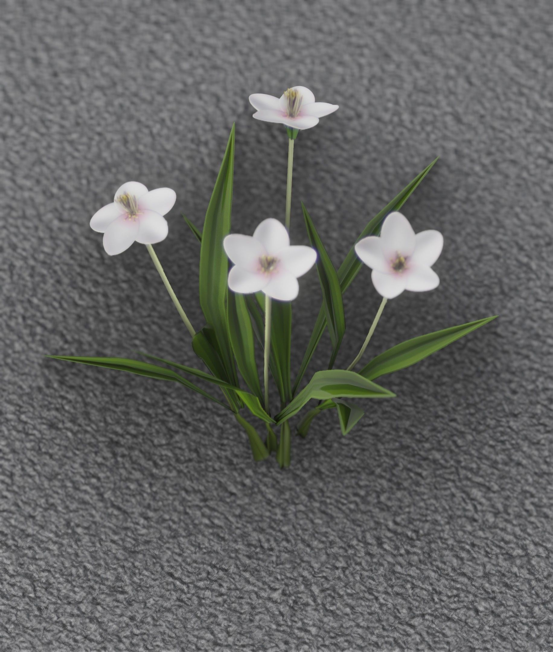 White Flowers - Verion 6 - Object 16 Low-poly 3D model_6
