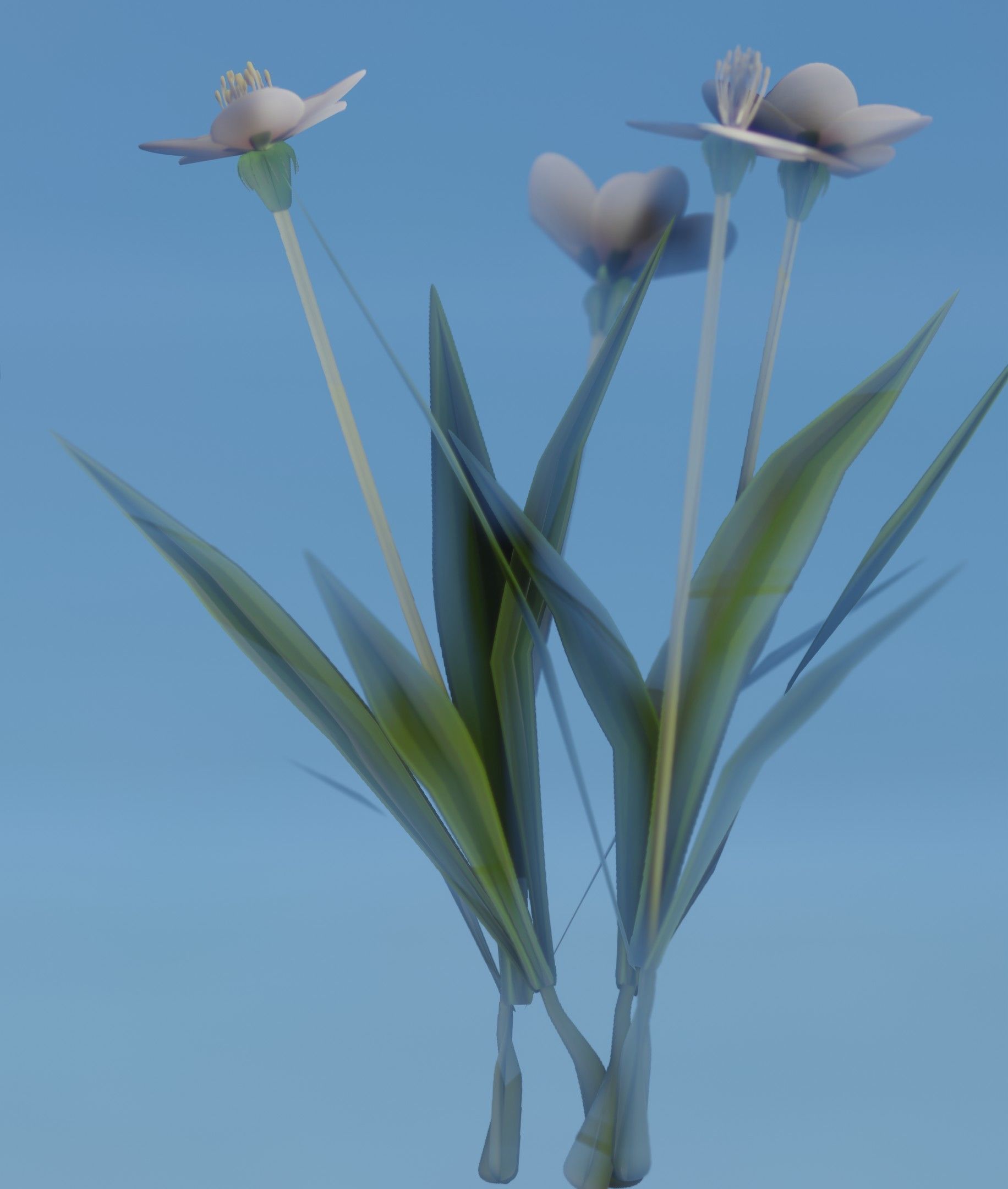 White Flowers - Verion 6 - Object 16 Low-poly 3D model_20