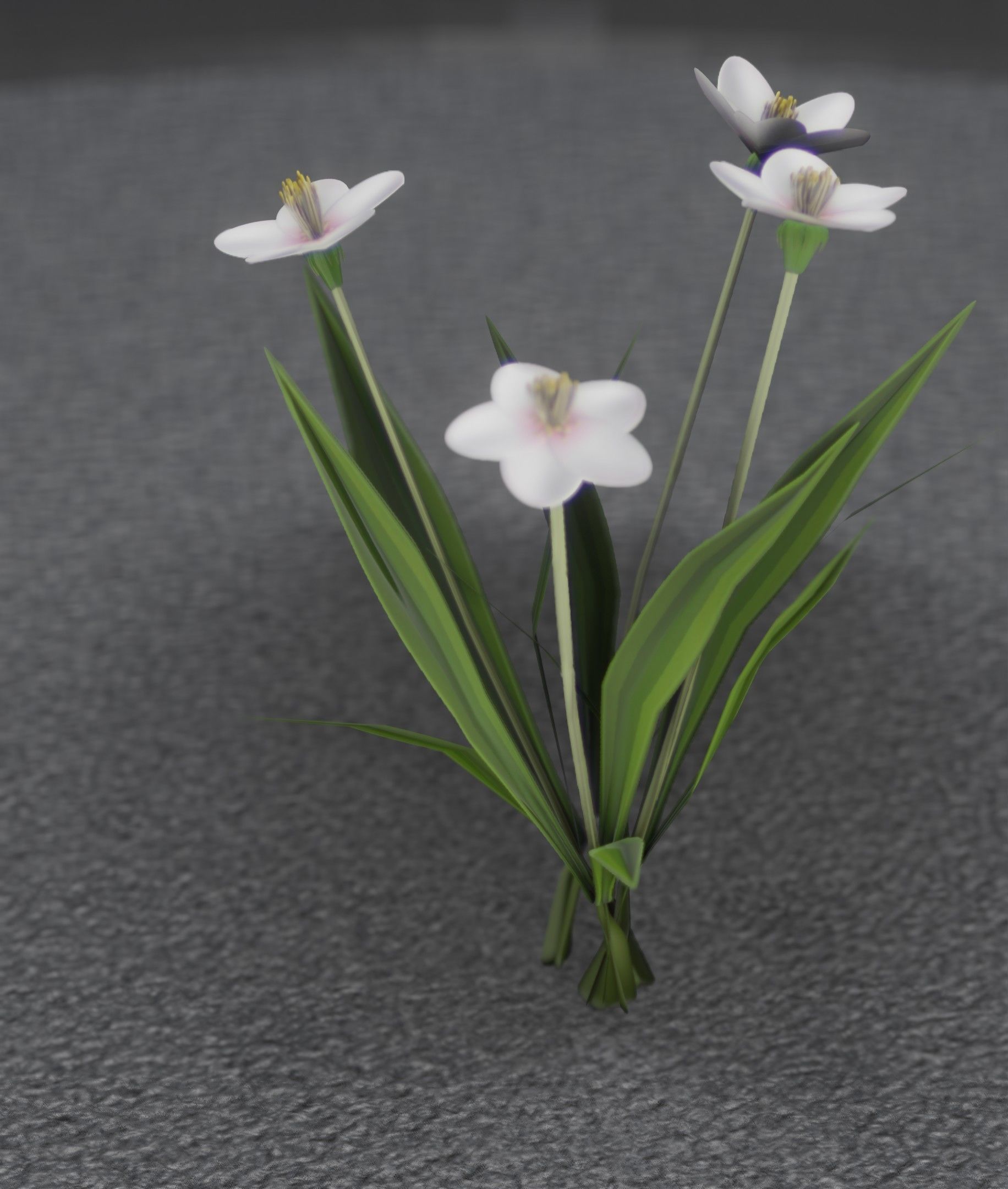 White Flowers - Verion 6 - Object 16 Low-poly 3D model_50