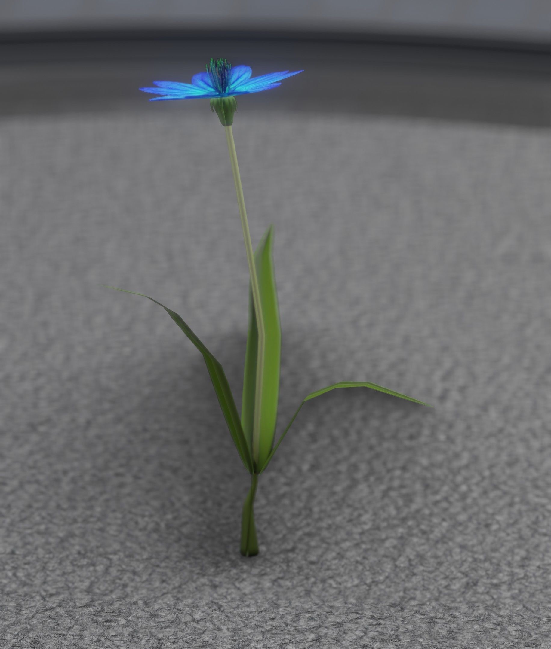 Blue Flower - Verion 2 - Object 17 Low-poly 3D model_19