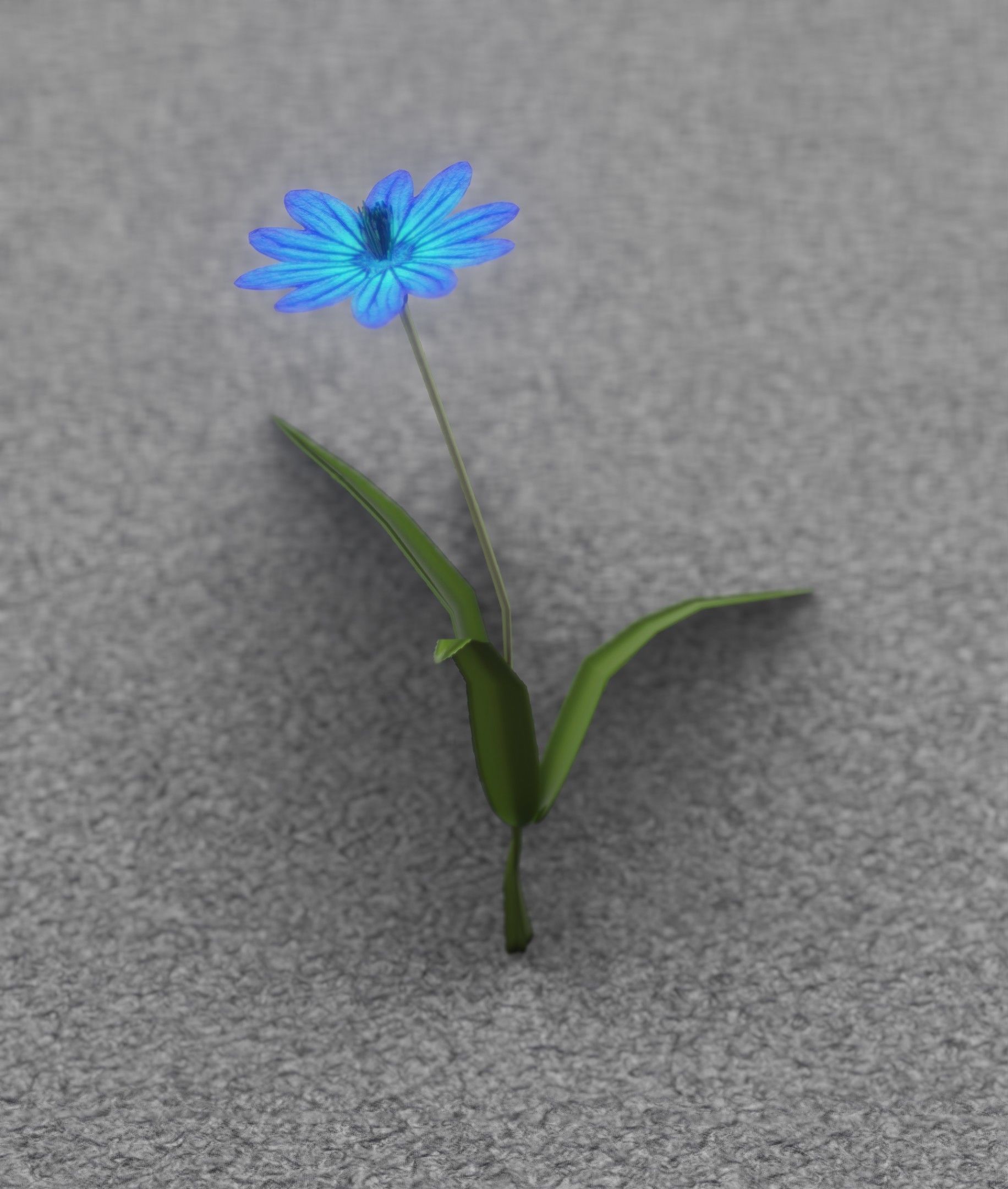 Blue Flower - Verion 2 - Object 17 Low-poly 3D model_34
