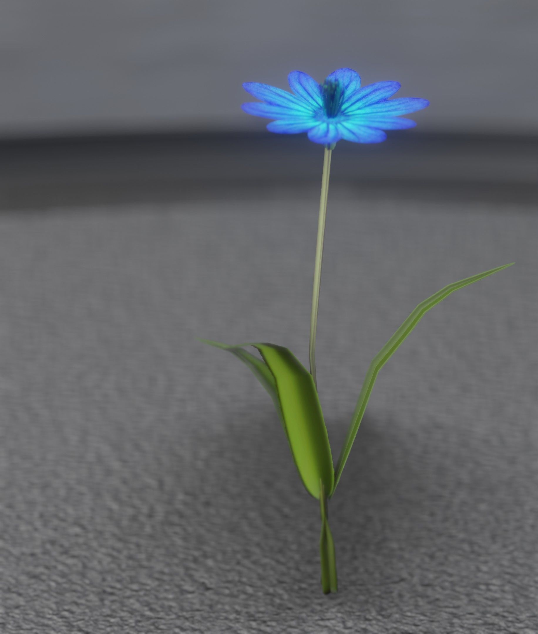 Blue Flower - Verion 2 - Object 17 Low-poly 3D model_30