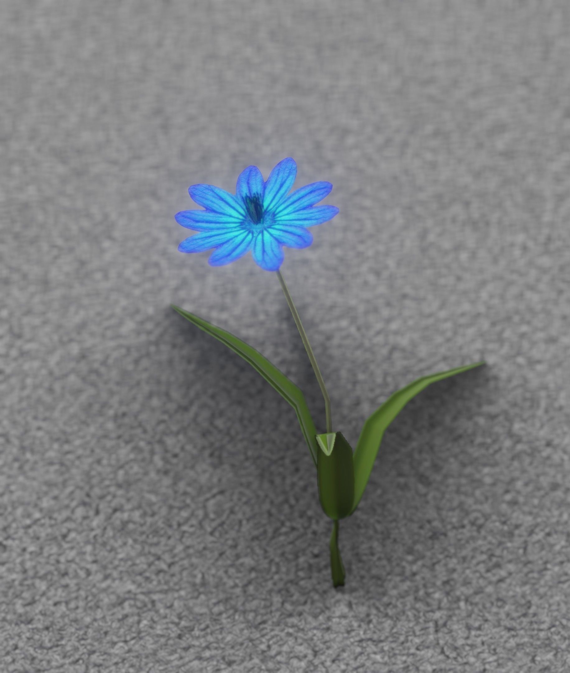 Blue Flower - Verion 2 - Object 17 Low-poly 3D model_45