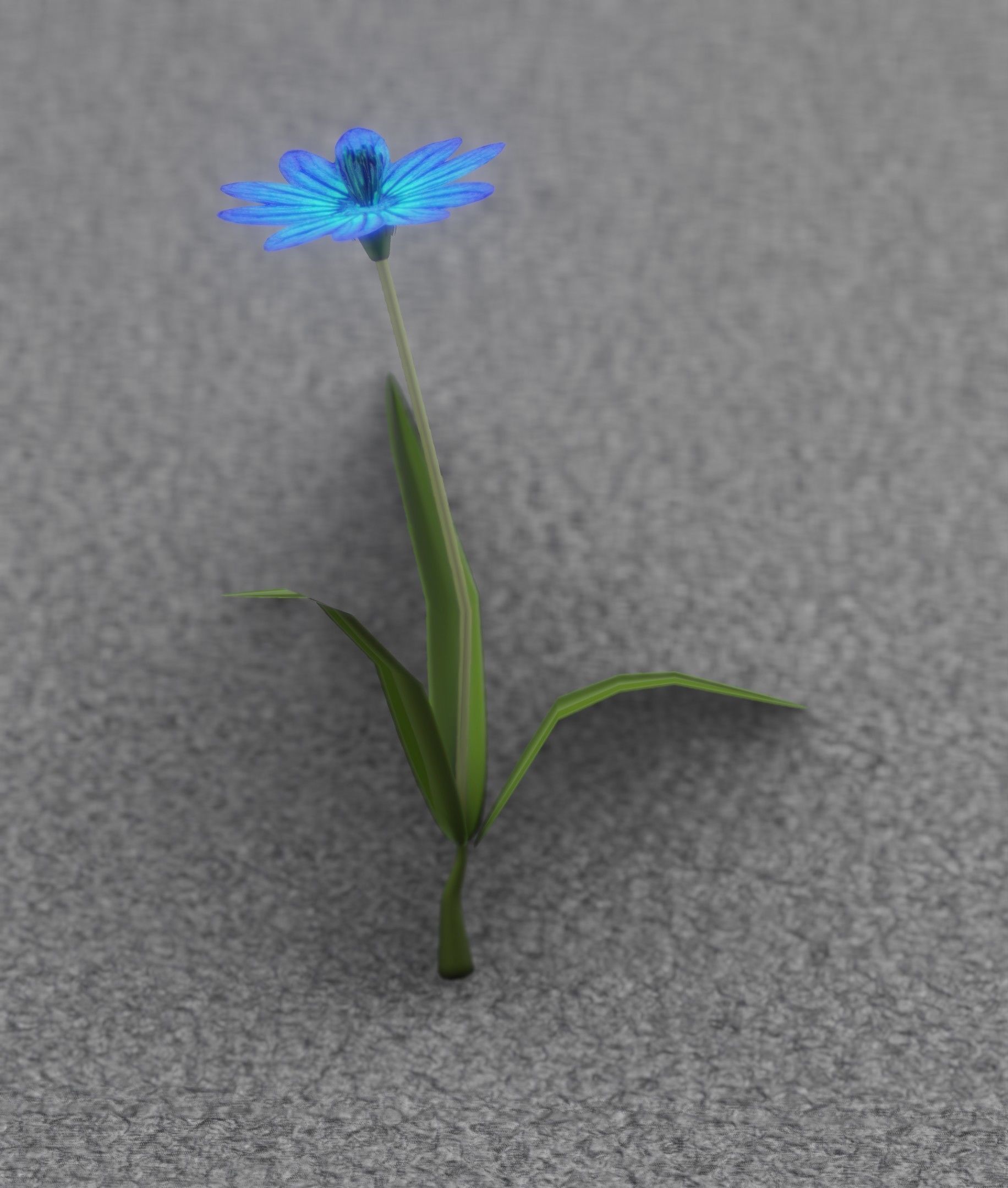 Blue Flower - Verion 2 - Object 17 Low-poly 3D model_18