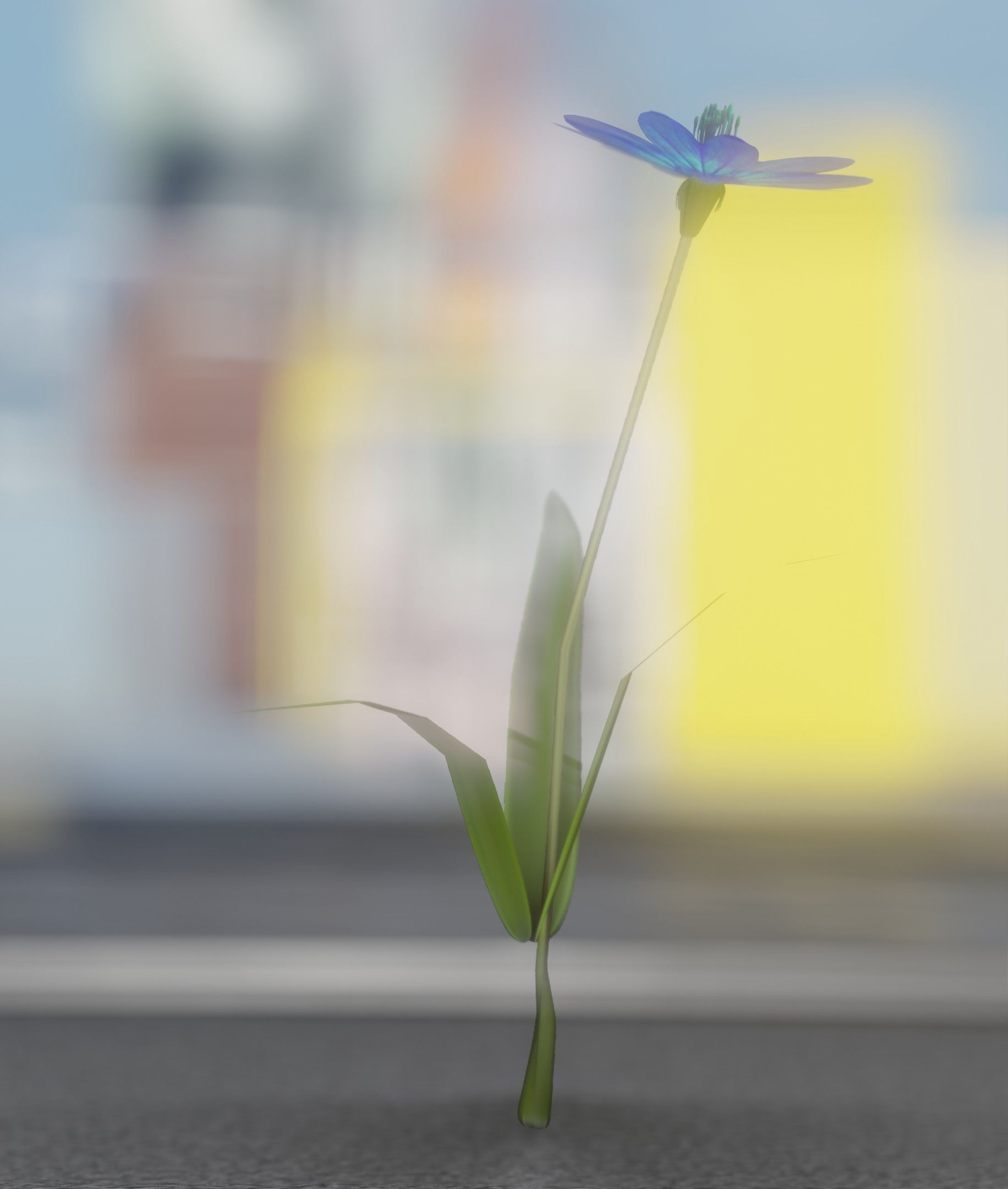 Blue Flower - Verion 2 - Object 17 Low-poly 3D model_26
