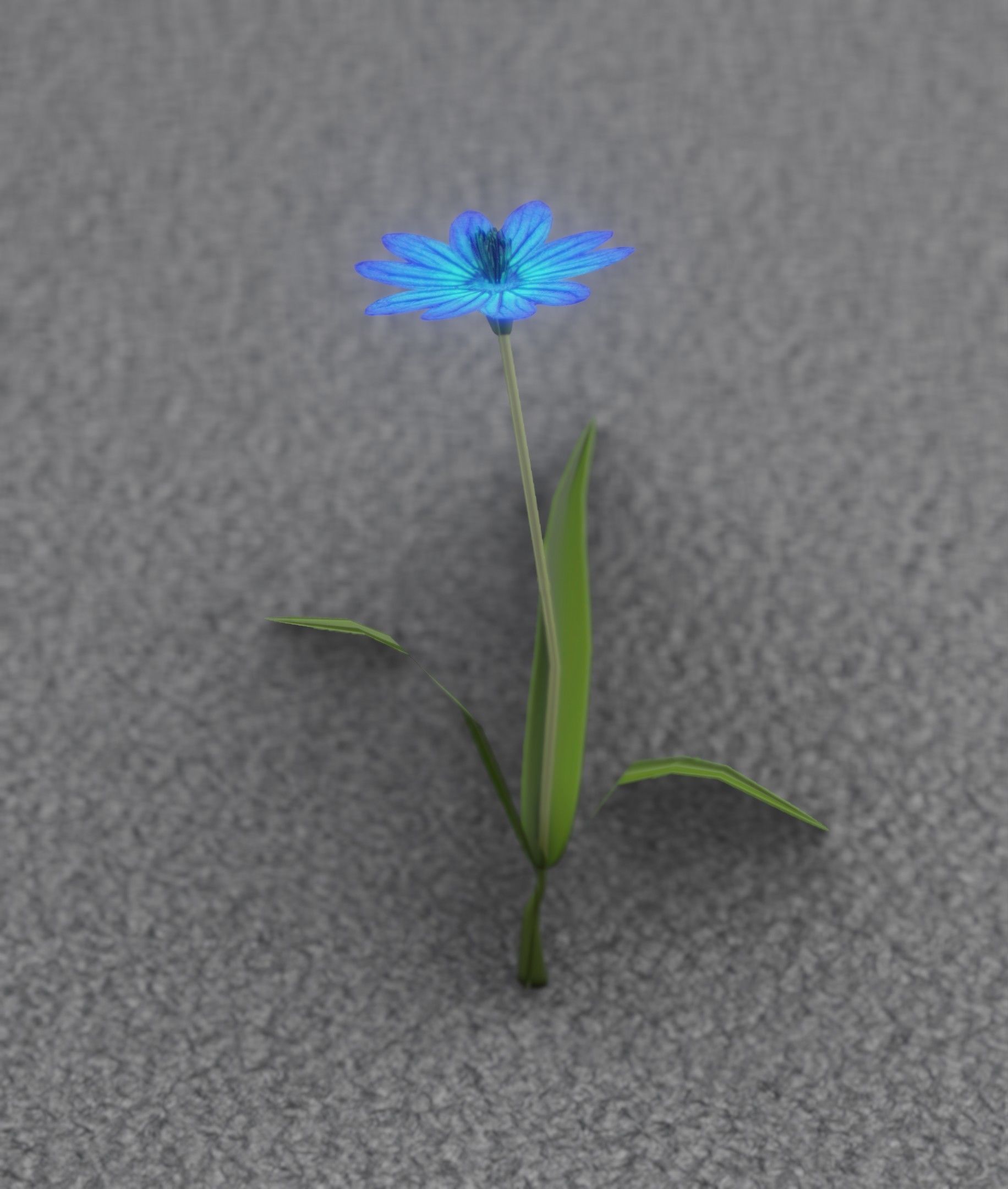 Blue Flower - Verion 2 - Object 17 Low-poly 3D model_48