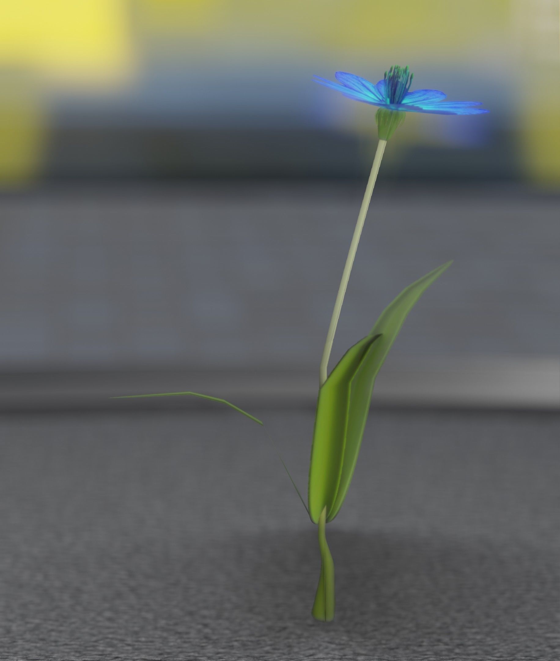 Blue Flower - Verion 2 - Object 17 Low-poly 3D model_28