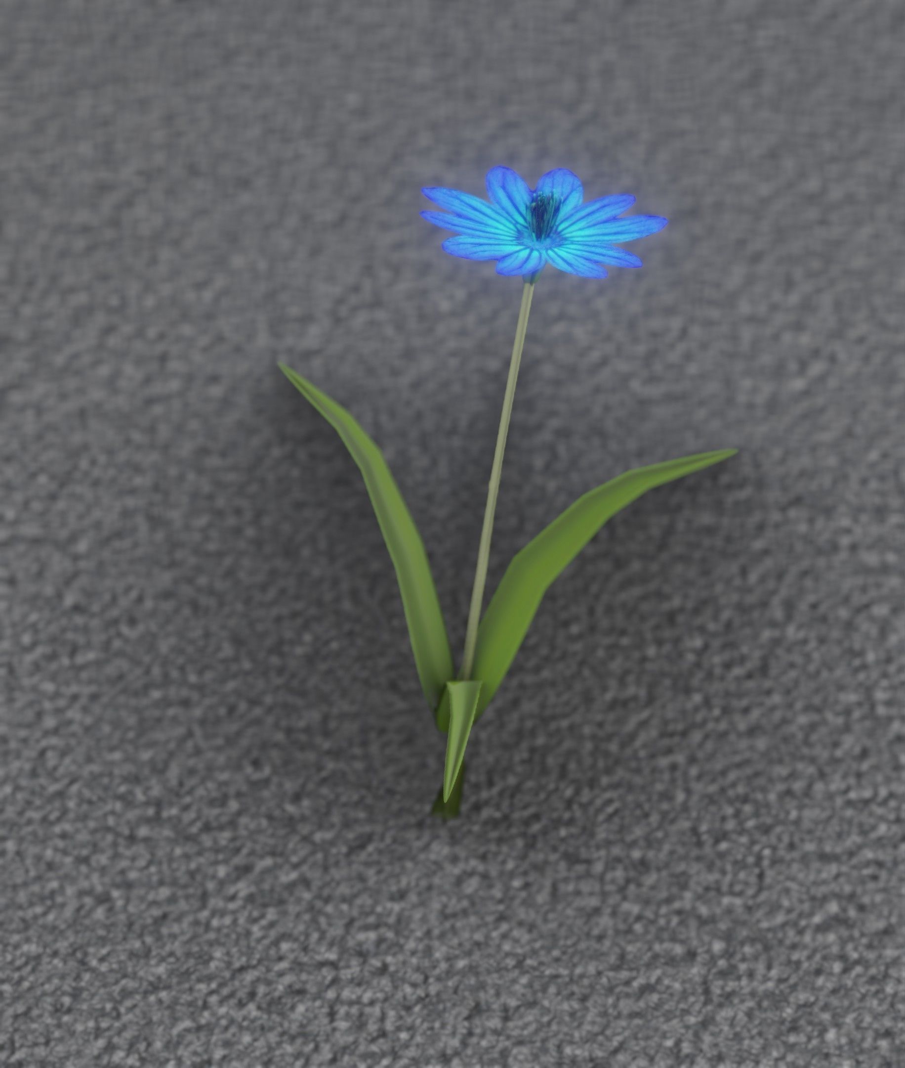 Blue Flower - Verion 2 - Object 17 Low-poly 3D model_51