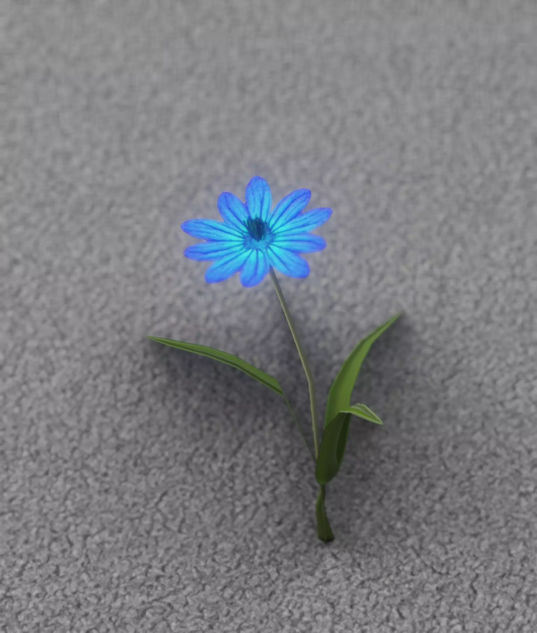 Blue Flower - Verion 2 - Object 17 Low-poly 3D model_0