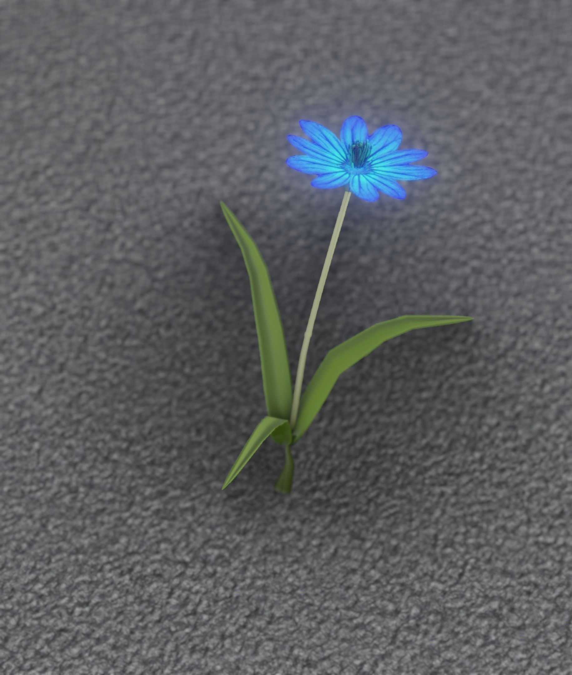 Blue Flower - Verion 2 - Object 17 Low-poly 3D model_52