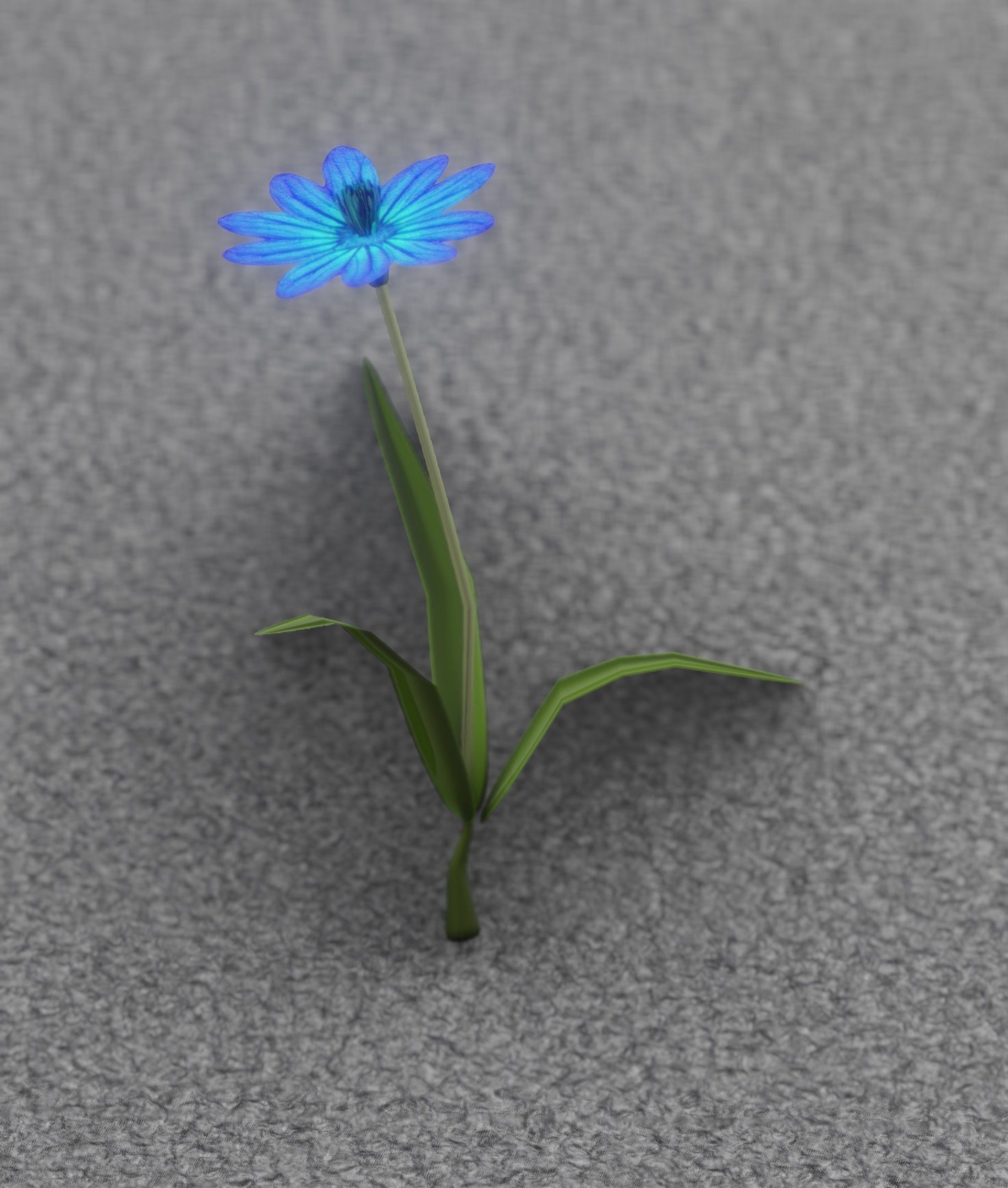 Blue Flower - Verion 2 - Object 17 Low-poly 3D model_35