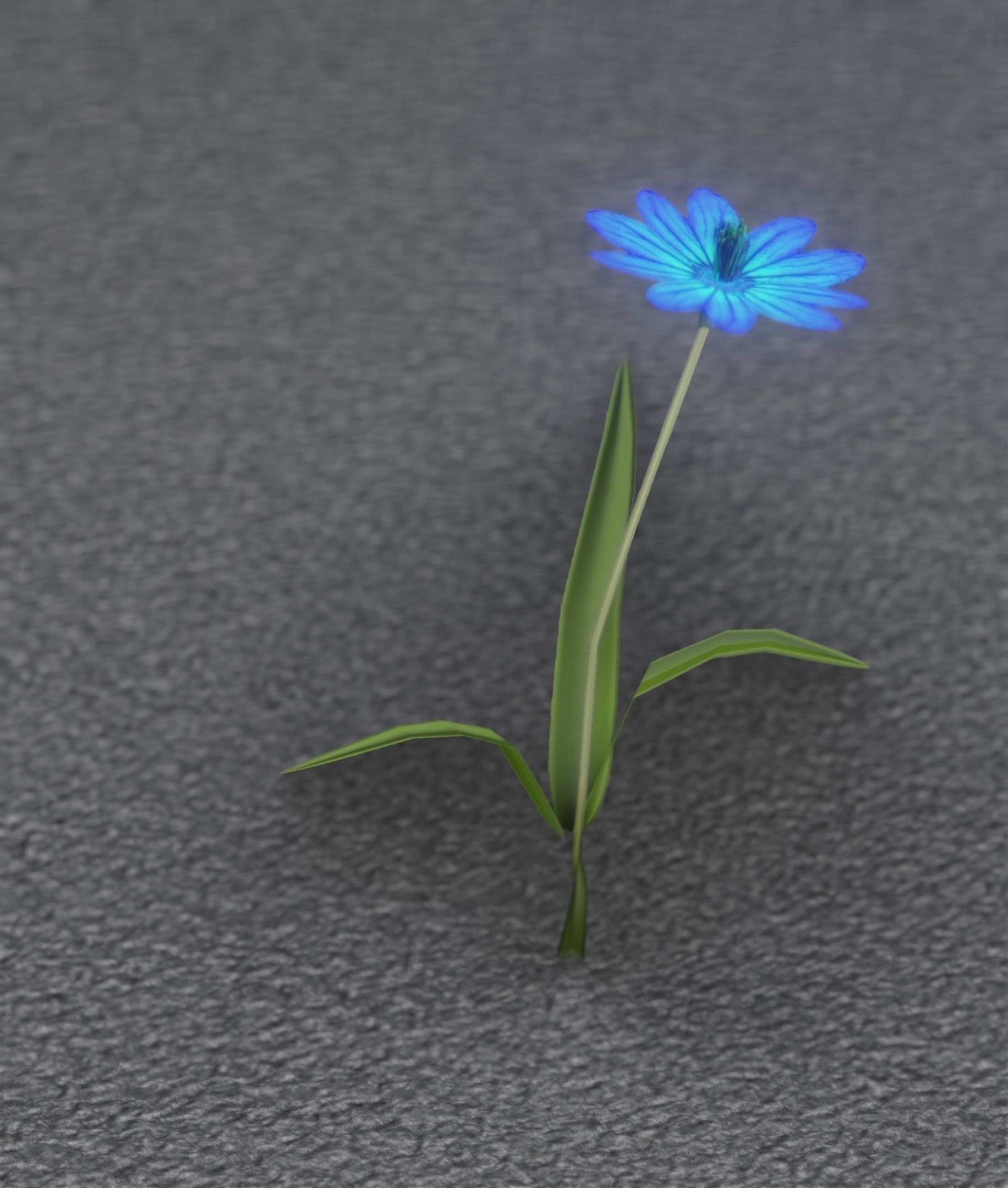Blue Flower - Verion 2 - Object 17 Low-poly 3D model_3