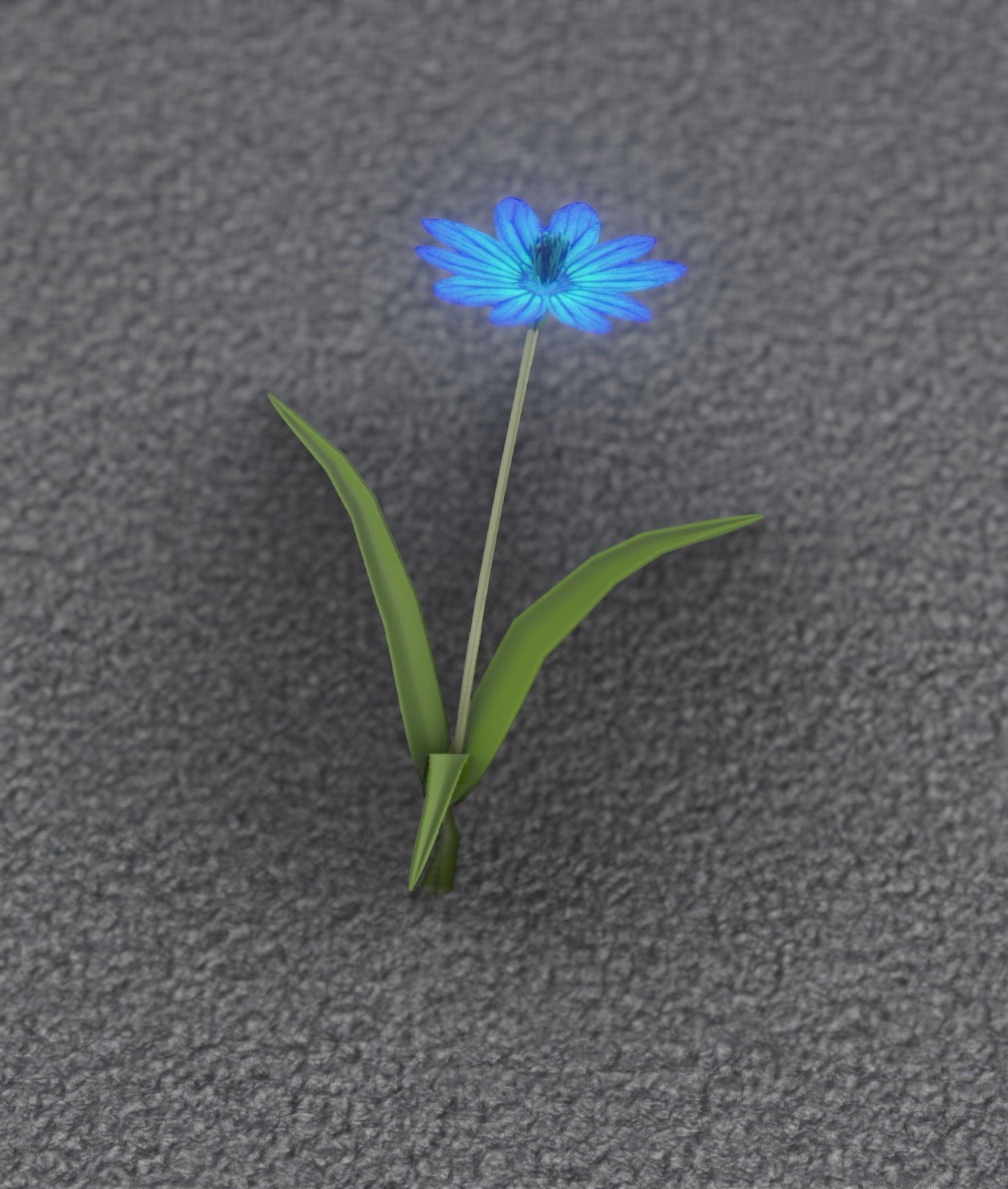 Blue Flower - Verion 2 - Object 17 Low-poly 3D model_38