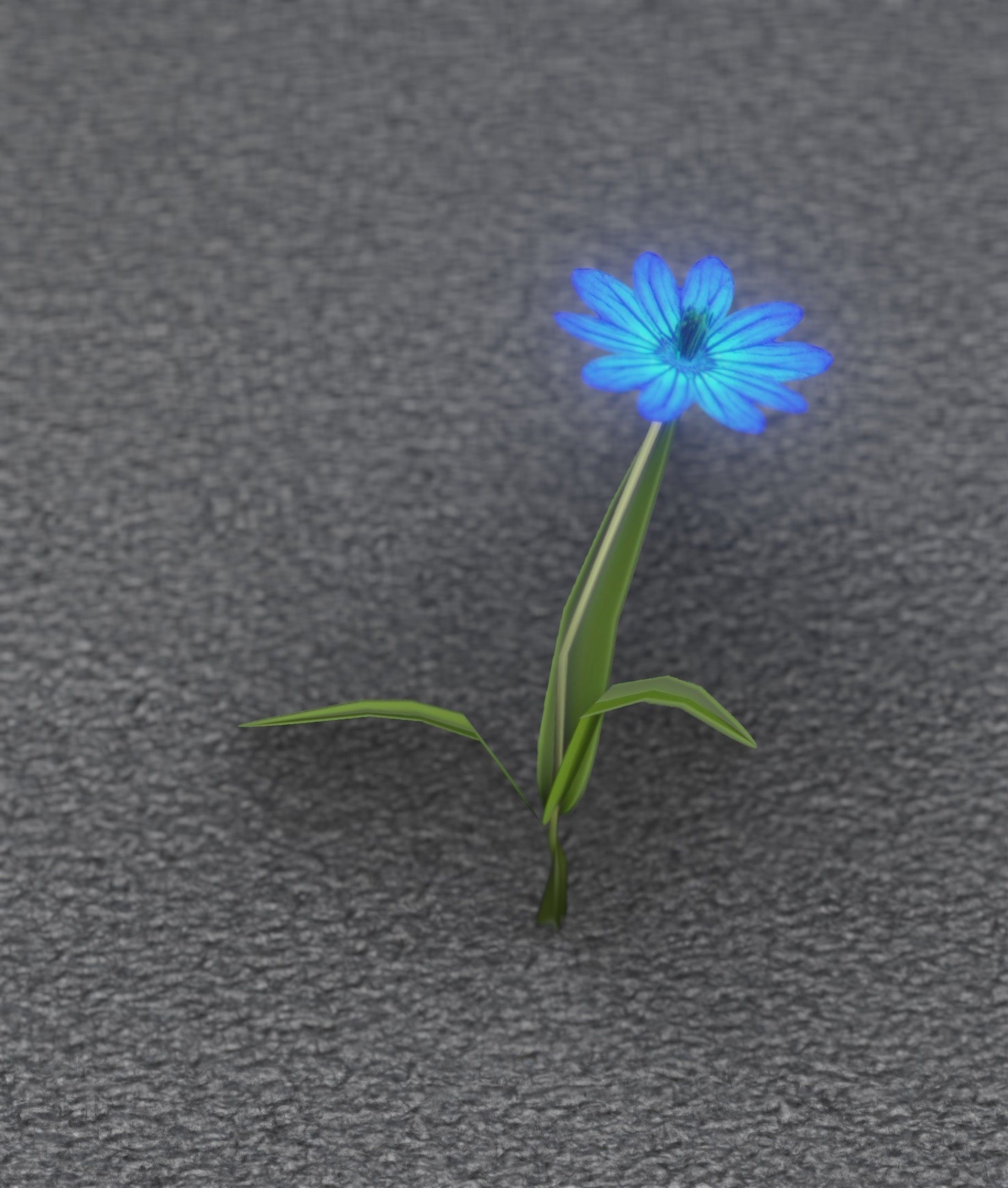 Blue Flower - Verion 2 - Object 17 Low-poly 3D model_4