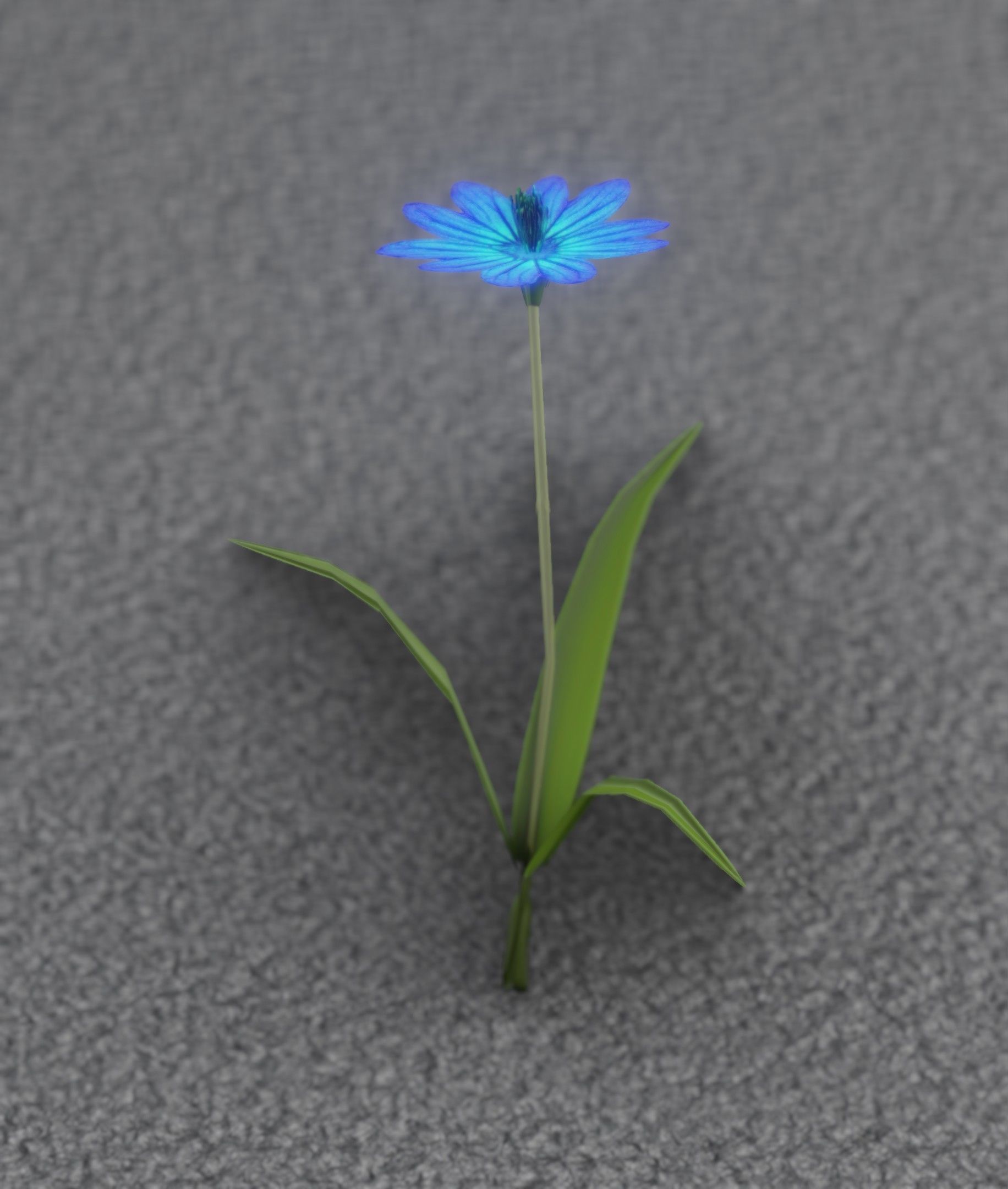 Blue Flower - Verion 2 - Object 17 Low-poly 3D model_49