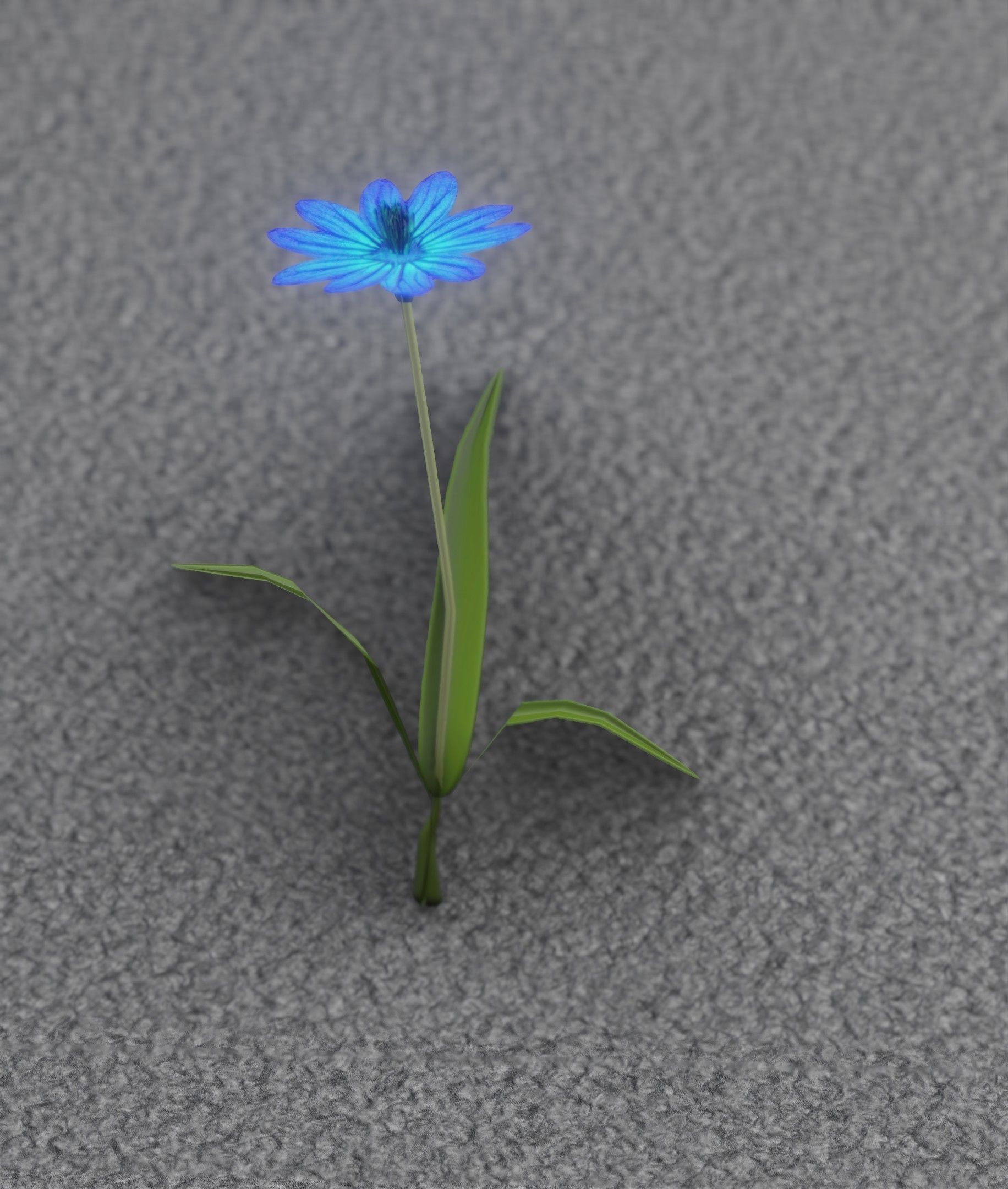 Blue Flower - Verion 2 - Object 17 Low-poly 3D model_36
