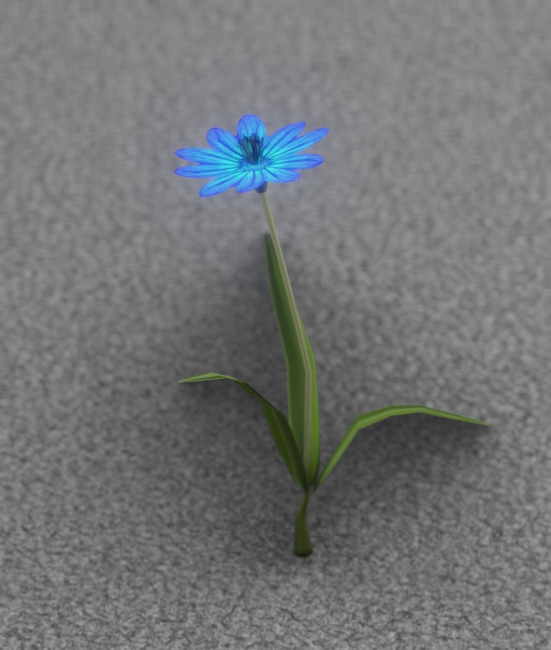 Blue Flower - Verion 2 - Object 17 Low-poly 3D model_47