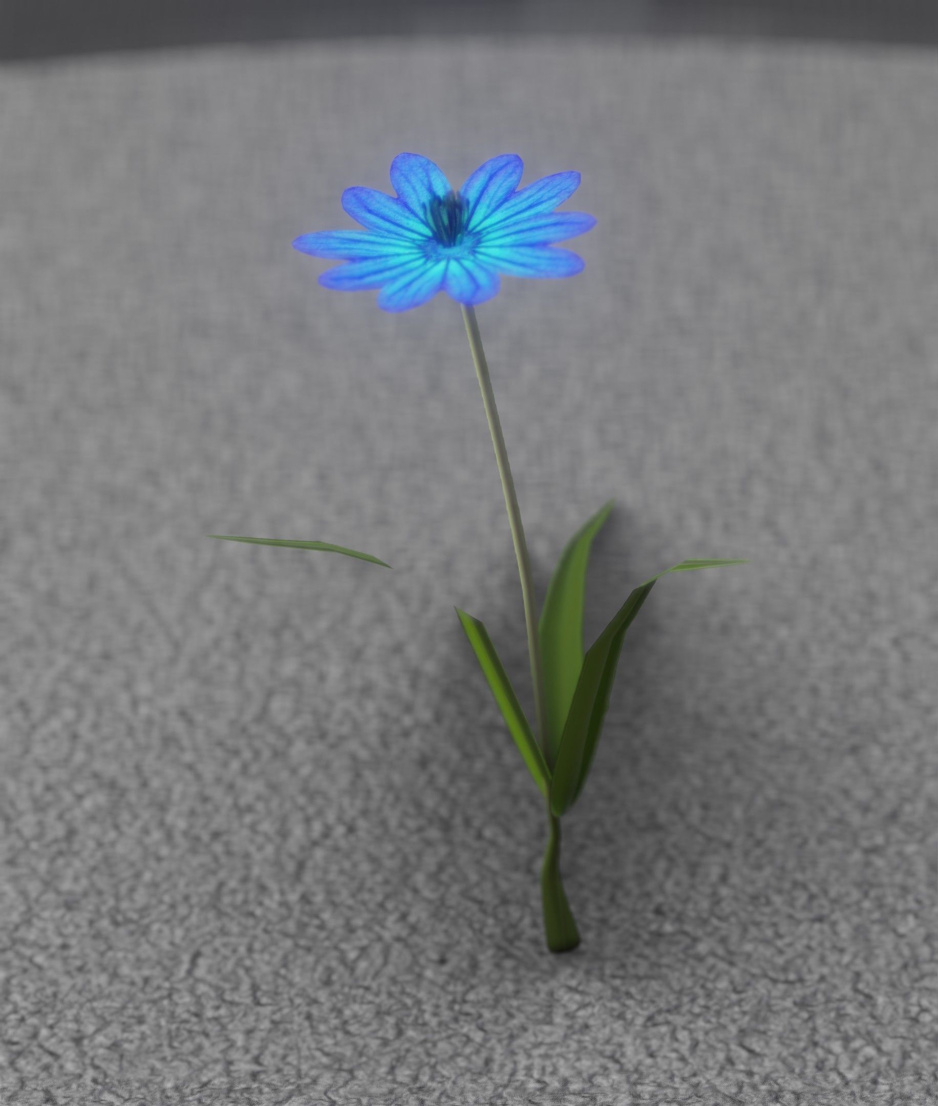 Blue Flower - Verion 2 - Object 17 Low-poly 3D model_32