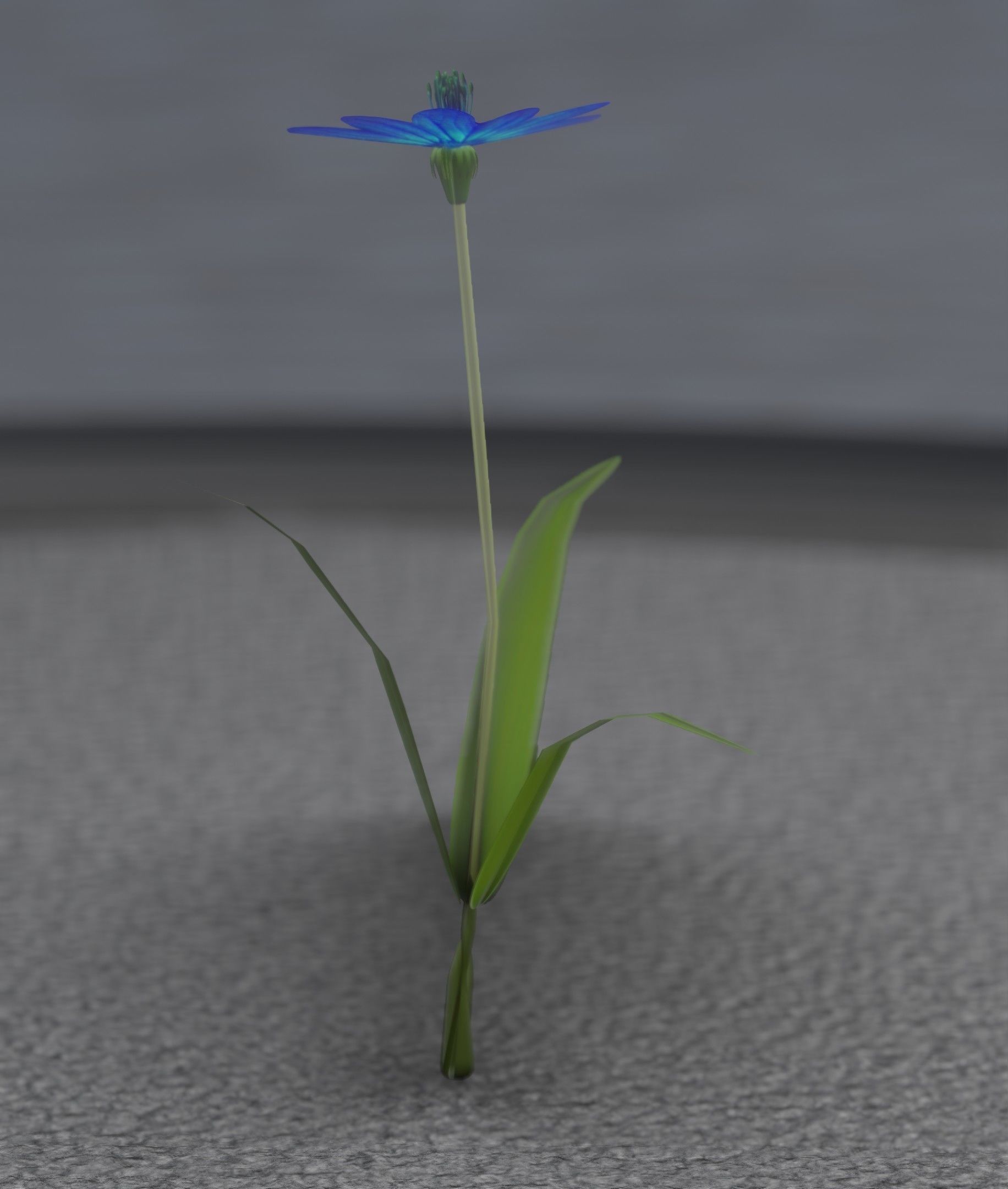 Blue Flower - Verion 2 - Object 17 Low-poly 3D model_21