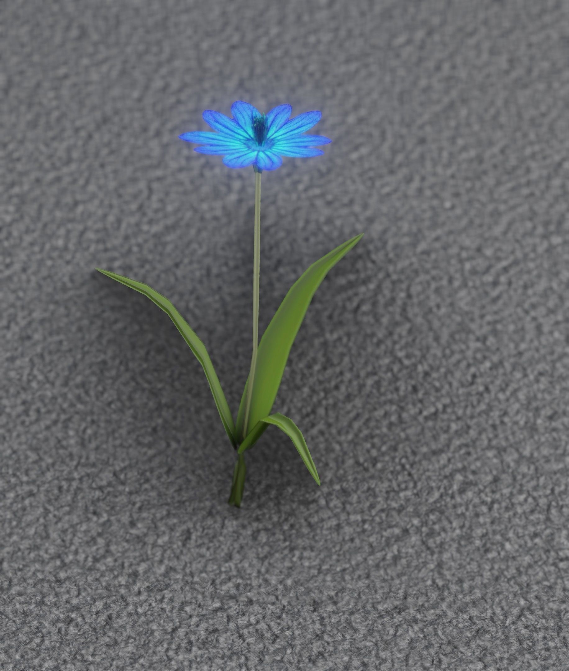 Blue Flower - Verion 2 - Object 17 Low-poly 3D model_37