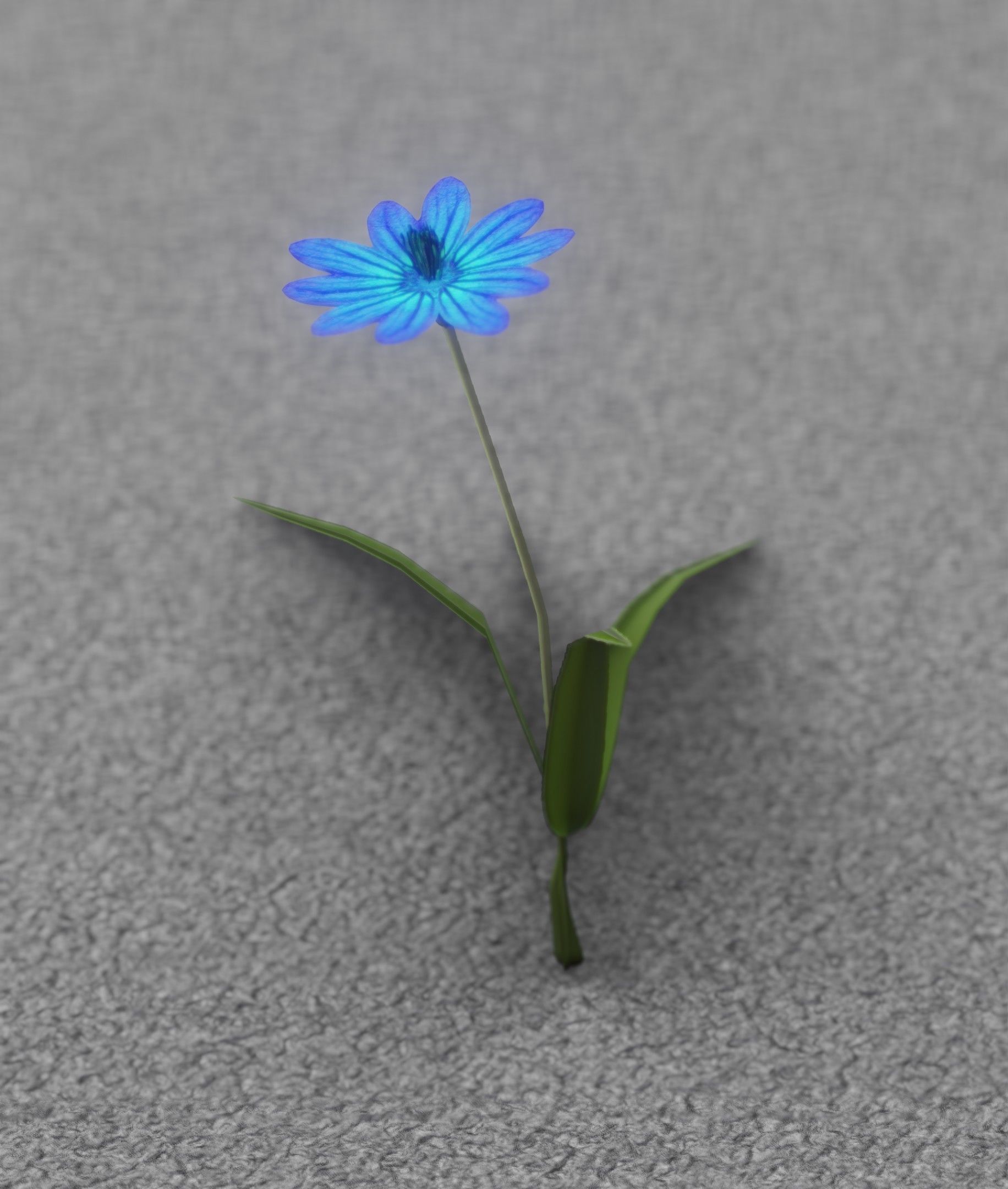Blue Flower - Verion 2 - Object 17 Low-poly 3D model_33