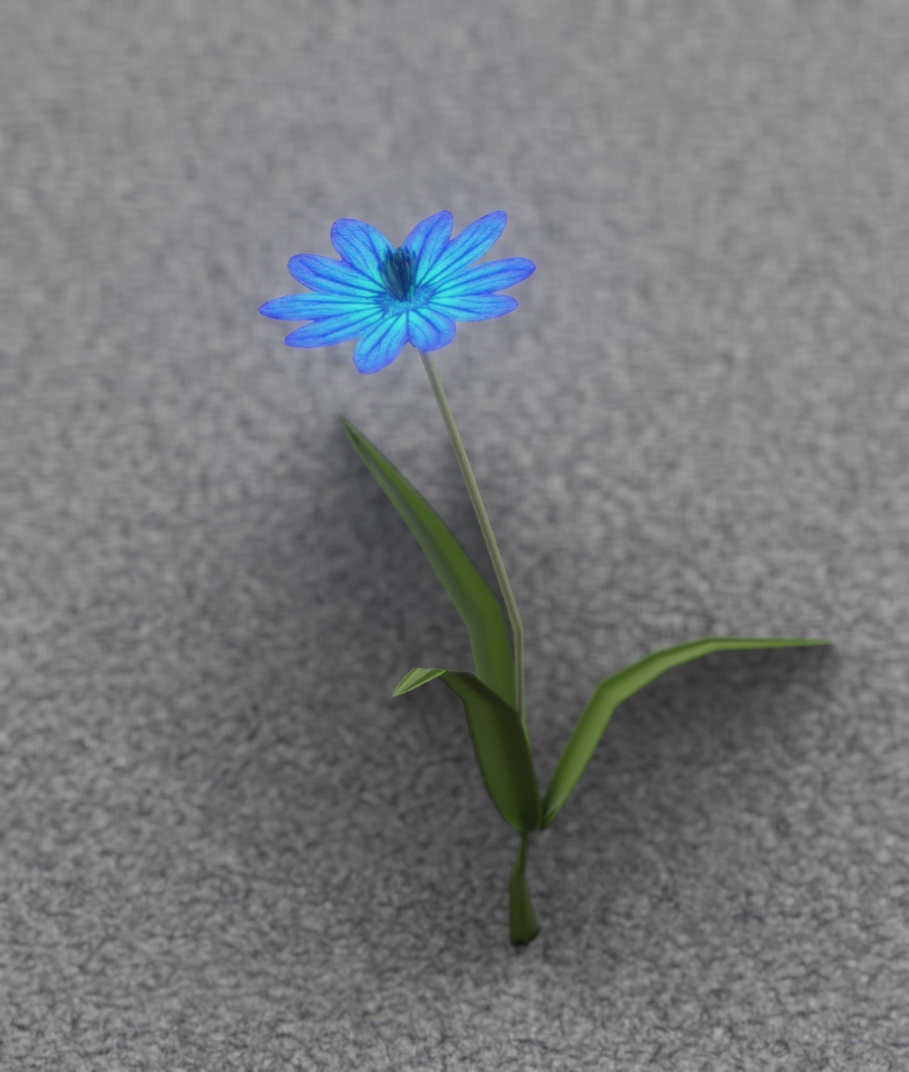 Blue Flower - Verion 2 - Object 17 Low-poly 3D model_46