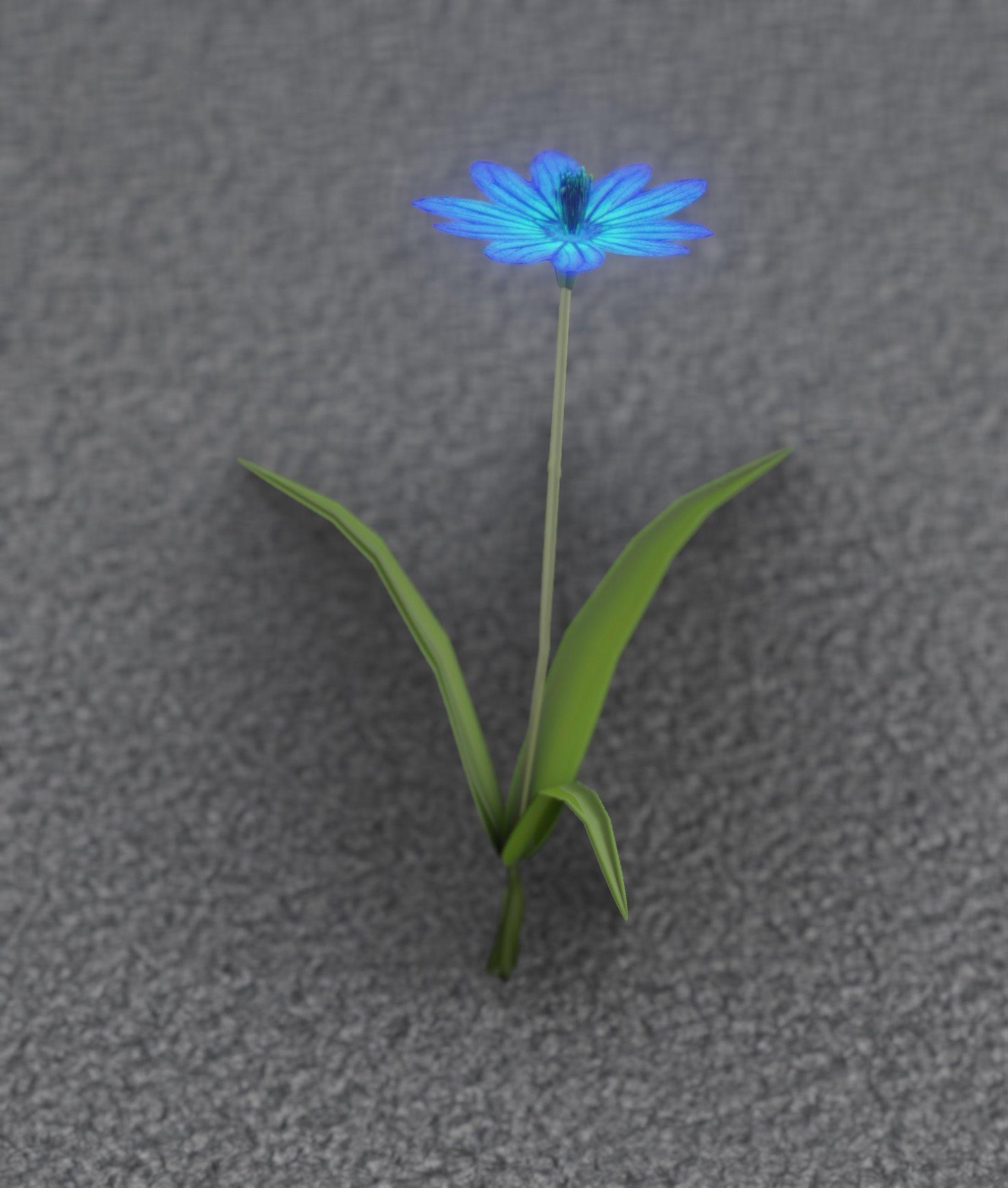 Blue Flower - Verion 2 - Object 17 Low-poly 3D model_50