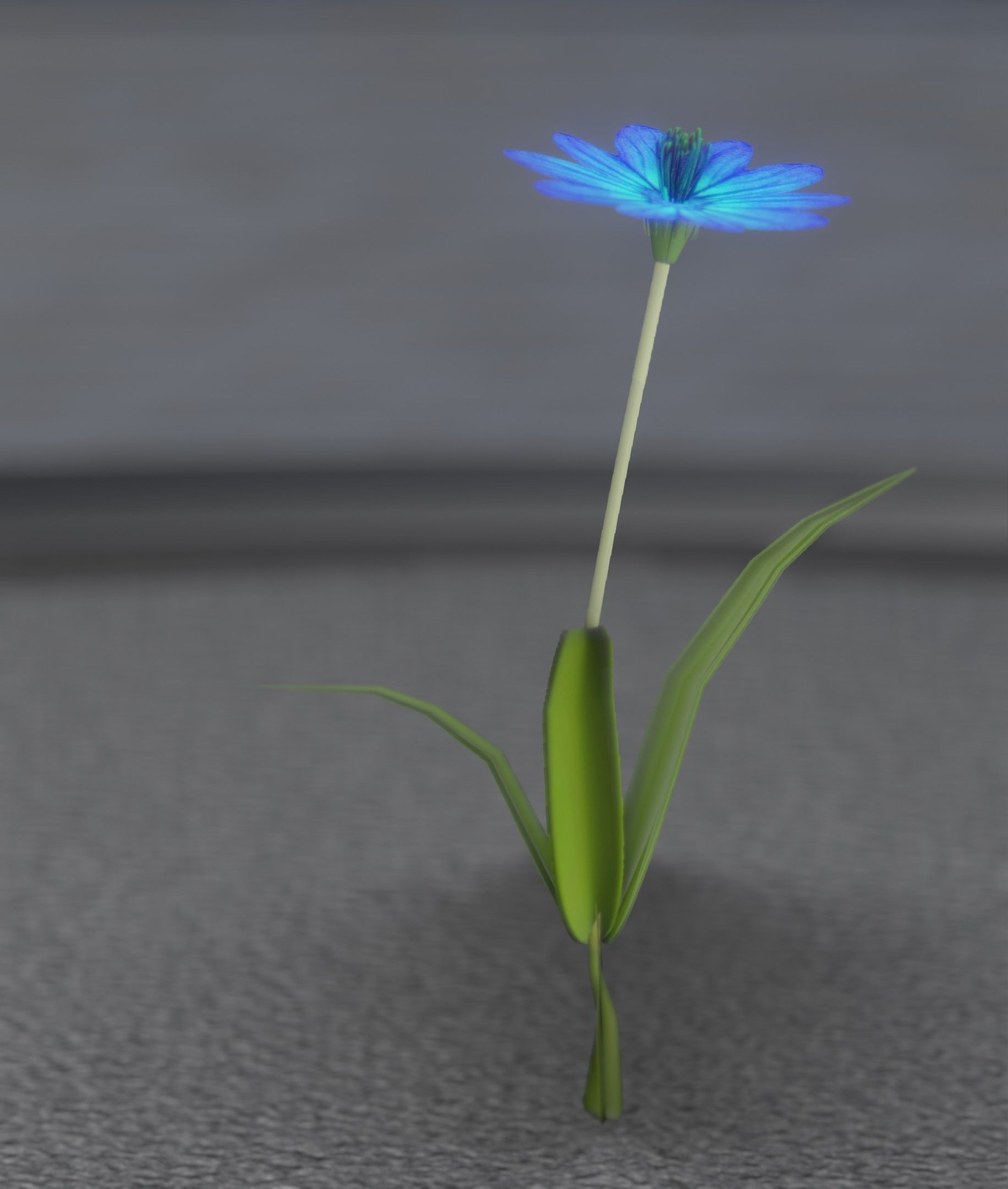 Blue Flower - Verion 2 - Object 17 Low-poly 3D model_29