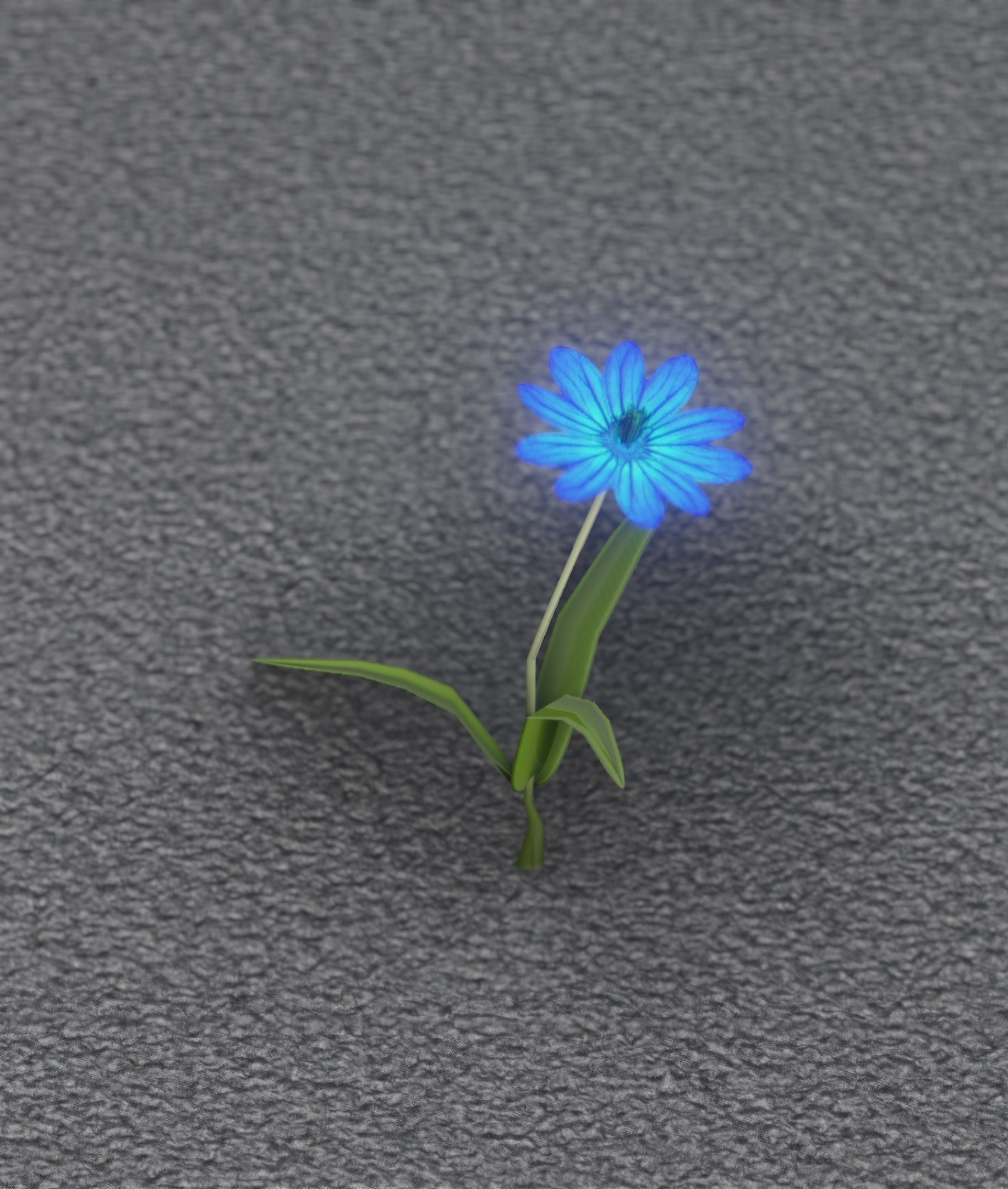 Blue Flower - Verion 2 - Object 17 Low-poly 3D model_7